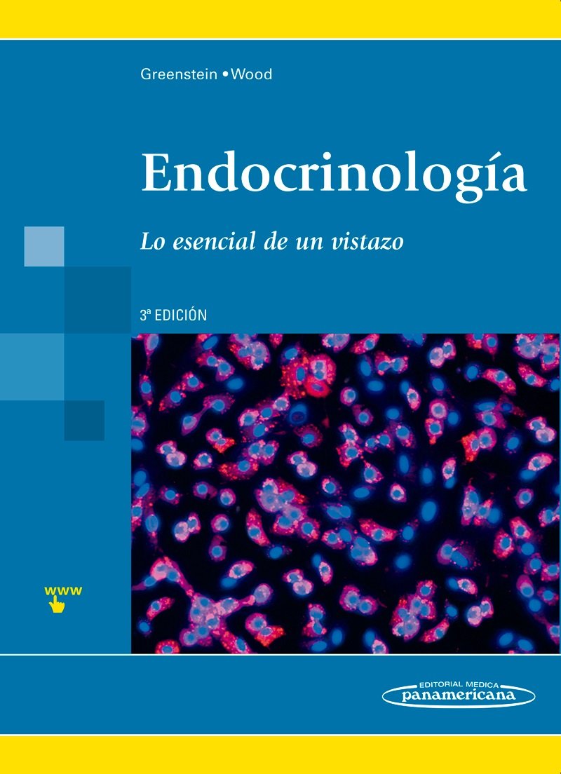 Endocrinolog a 3 Ed: Lo esencial de un vistazo book