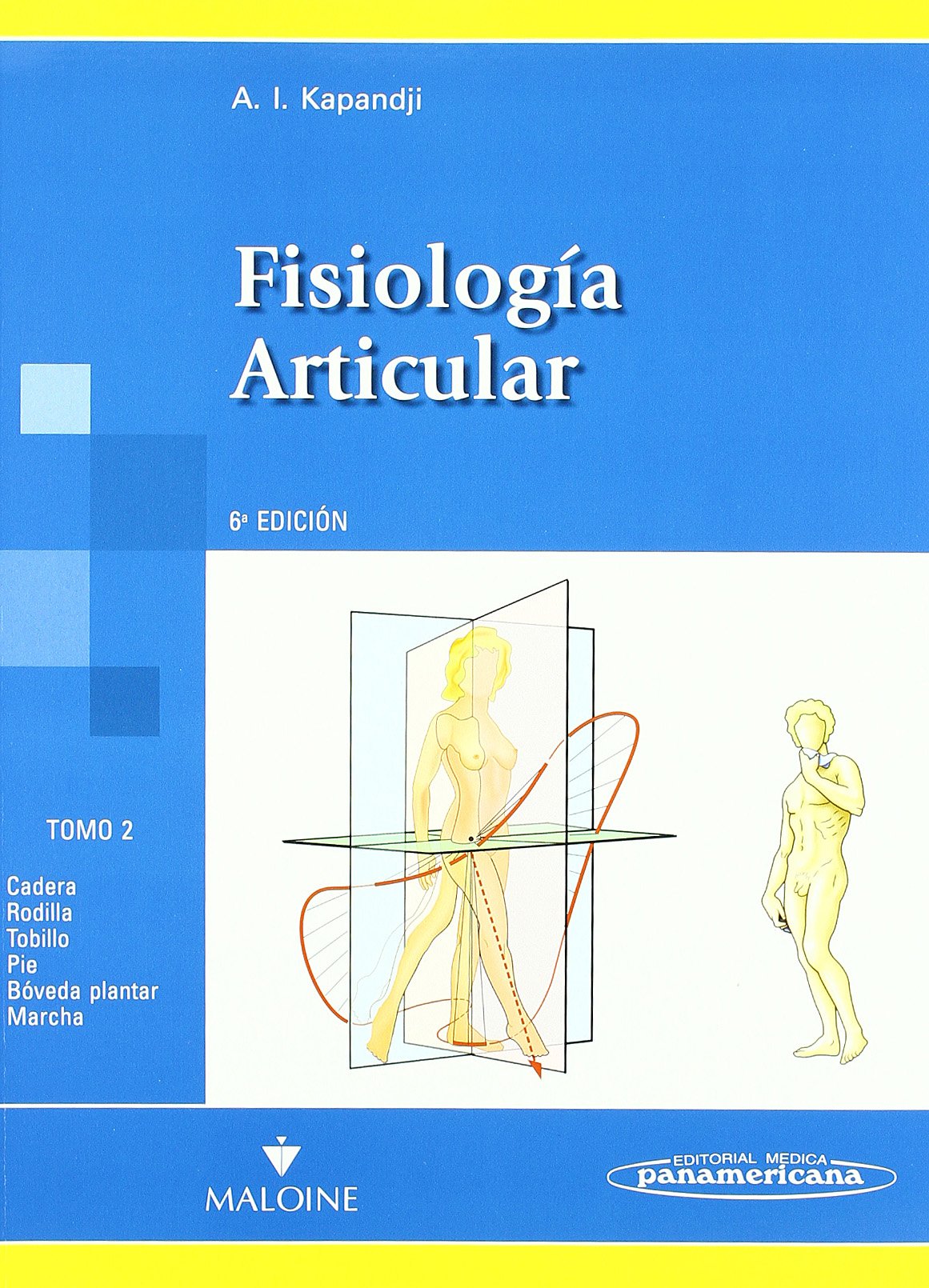 Cadera, rodilla, tobillo, pie, bóveda plantar, marcha (Fisiología Articular) Medicine