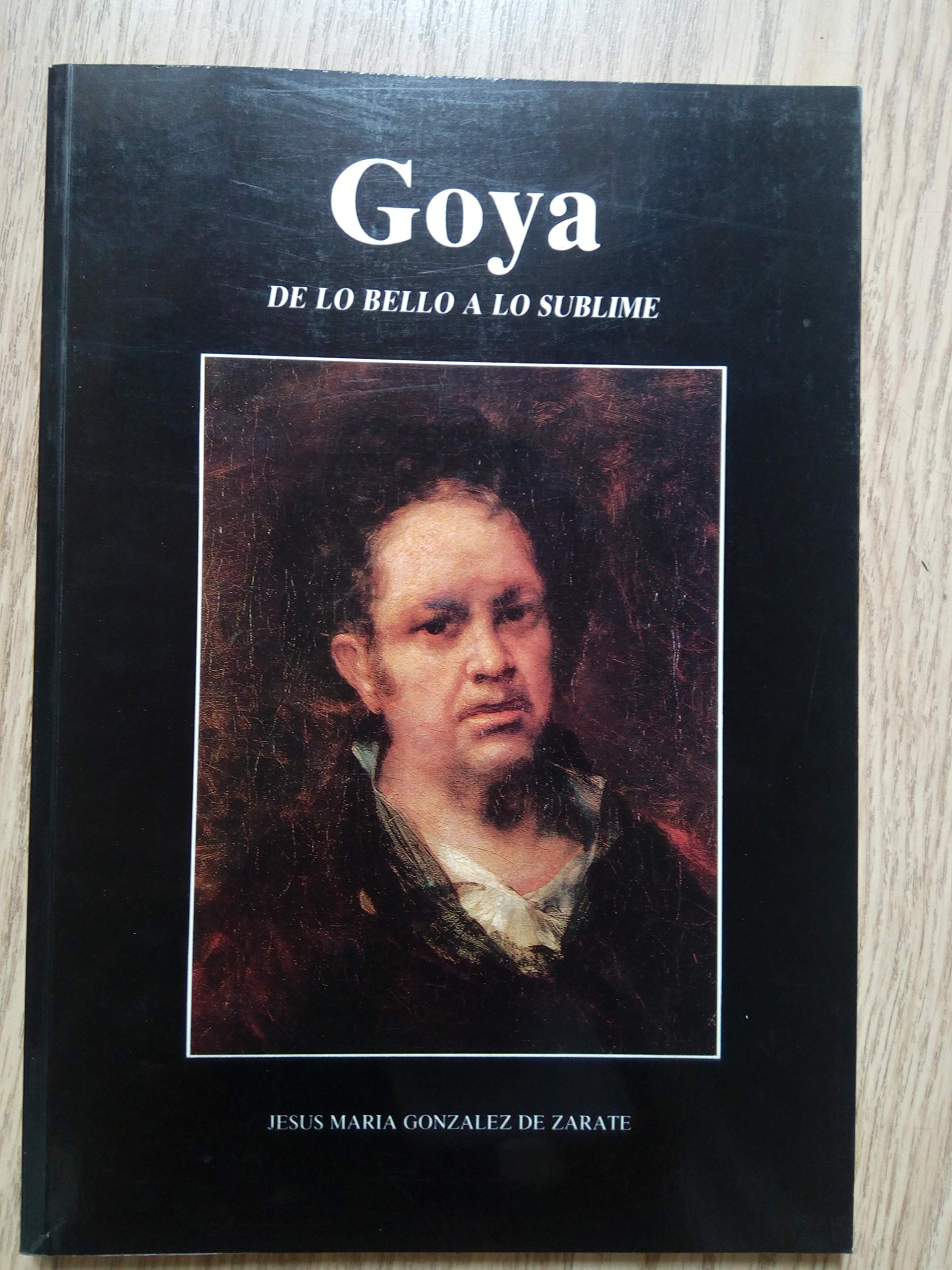 Goya (de Lo Bello A Lo Sublime) book