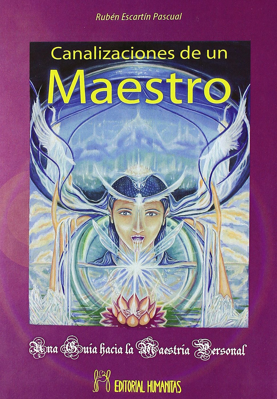Canalizaciones de un maestro : una guía hacia la maestría pesonal book