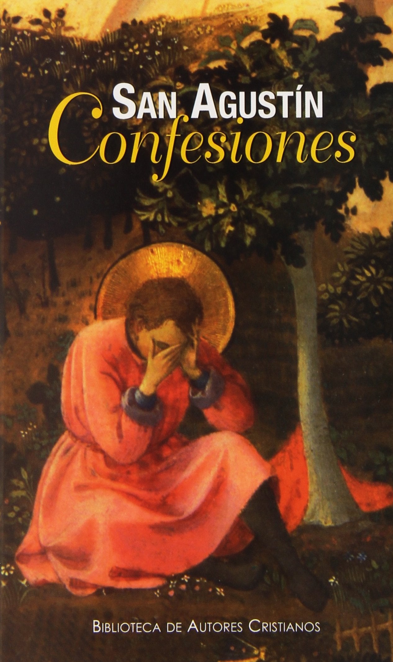 Confesiones (MINOR, Band 70) Non-fiction