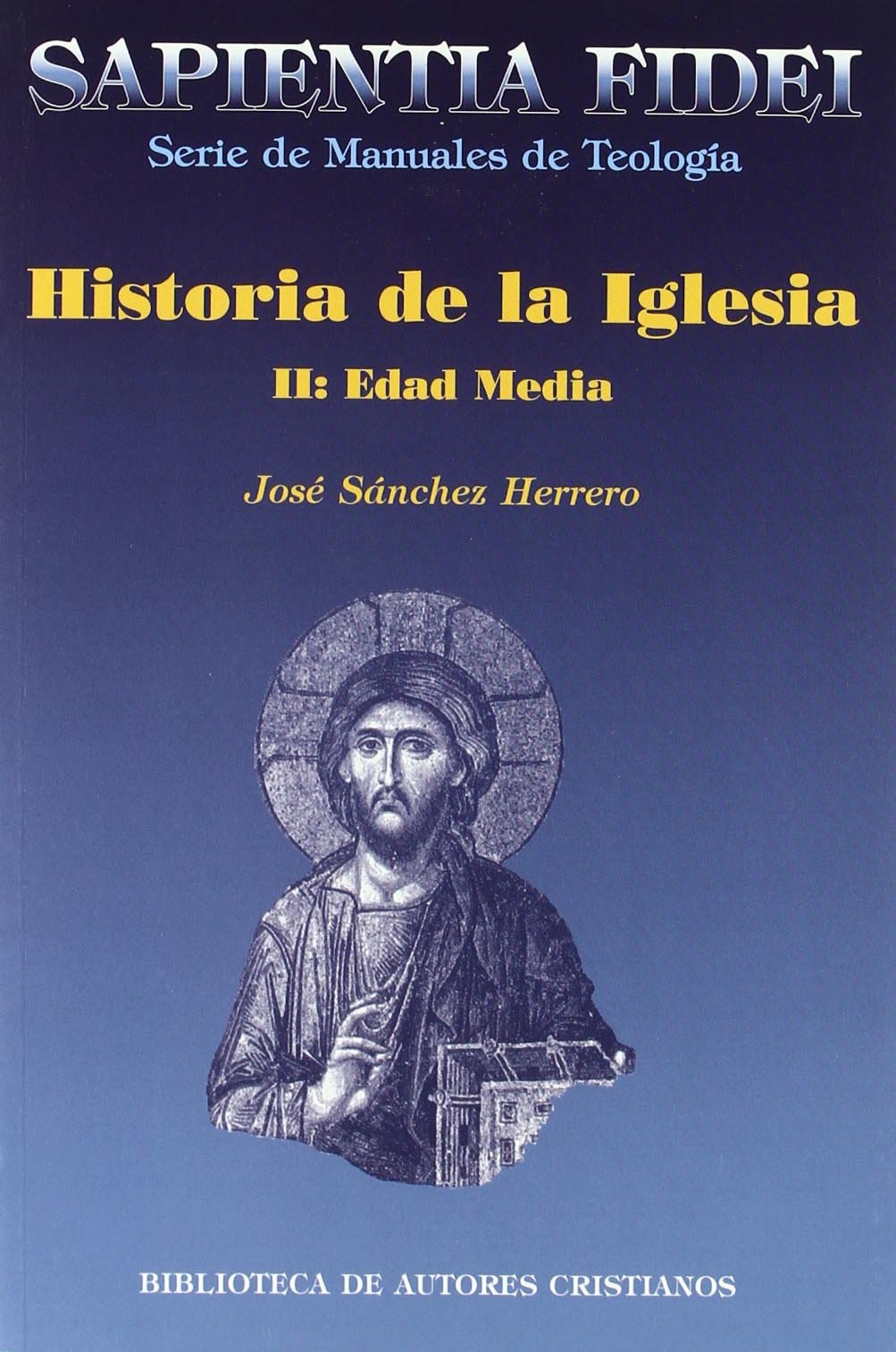 Historia de la Iglesia: Edad Media (SAPIENTIA FIDEI, Band 30) Social Sciences