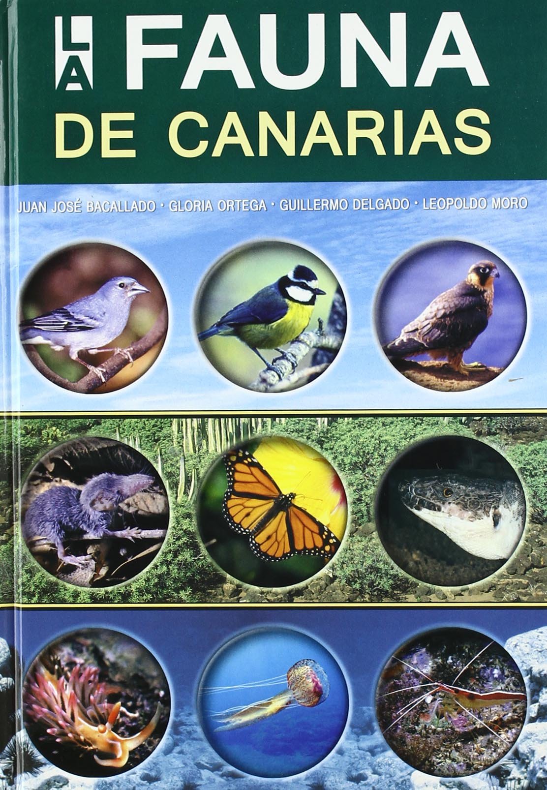 La fauna de Canarias book