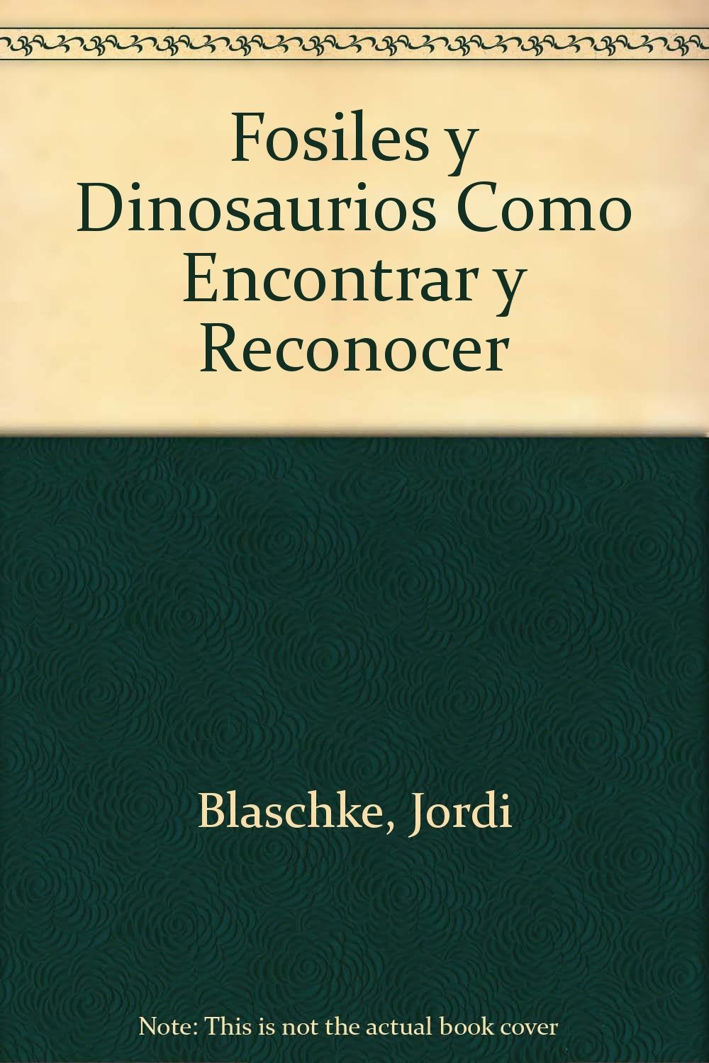 Fosiles y Dinosaurios Como Encontrar y Reconocer Books