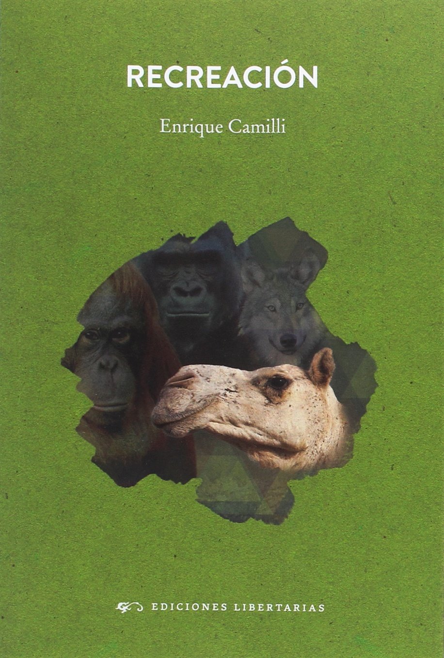 Recreación book