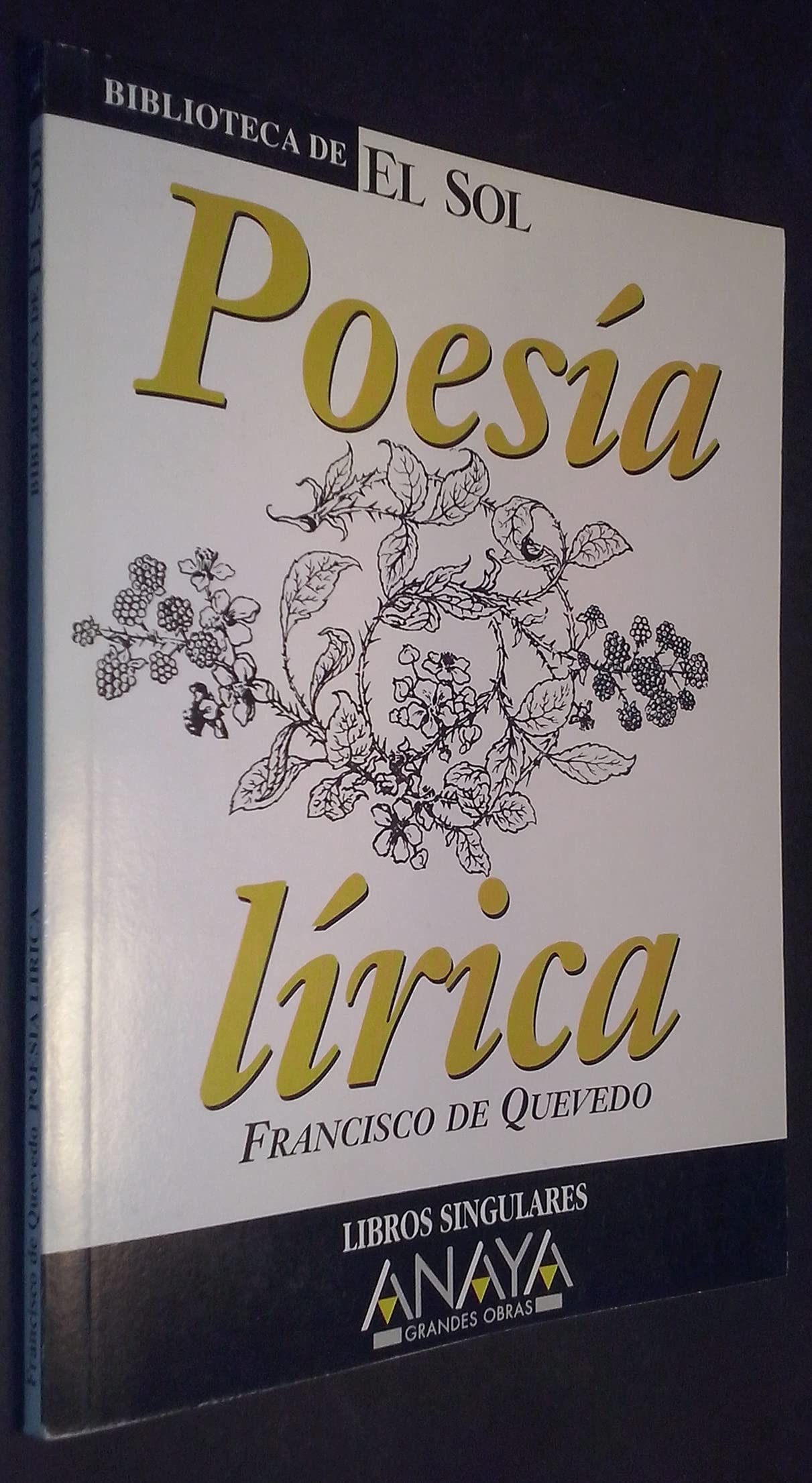PoesÝa LÝrica Books