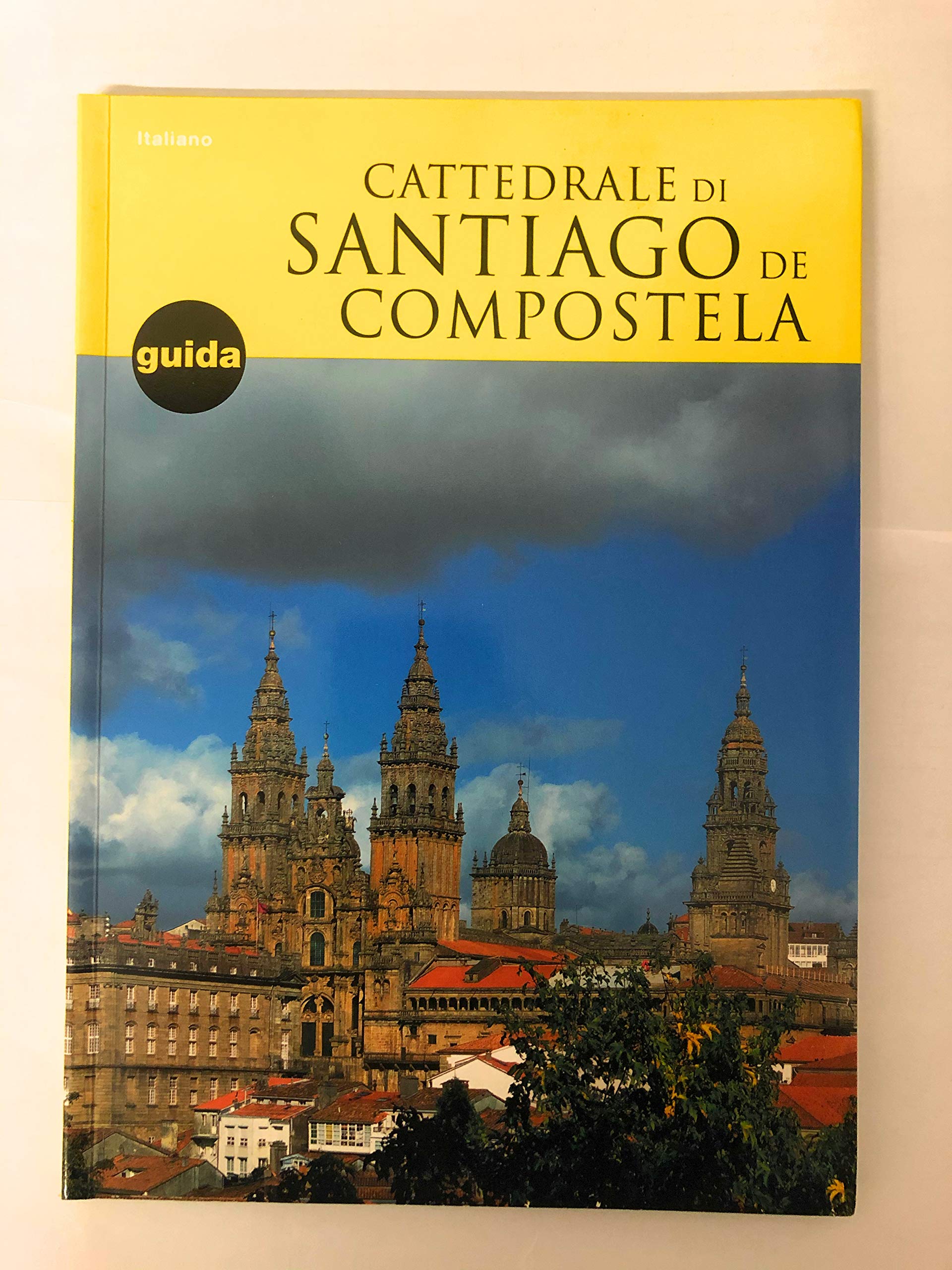 Cattedrale di Santiago de Compostela: guida della visita book