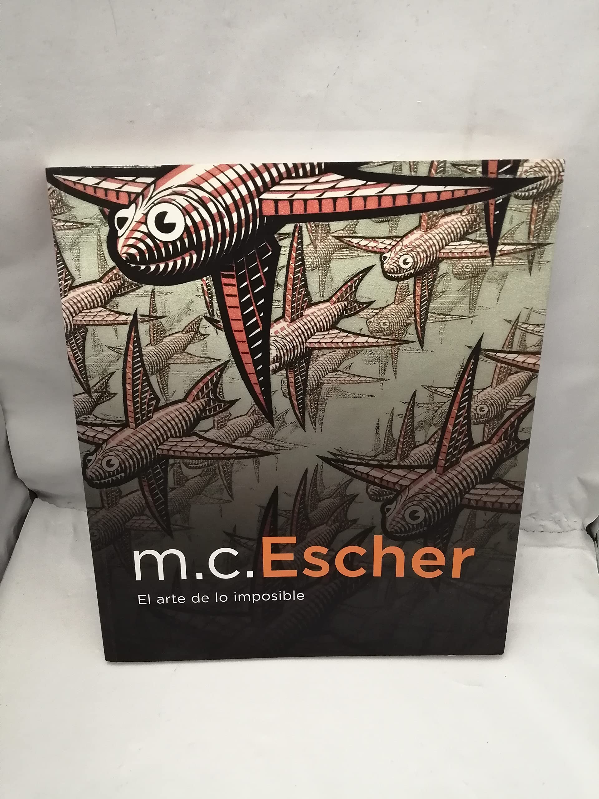 M. C. Escher, El arte de lo imposible book
