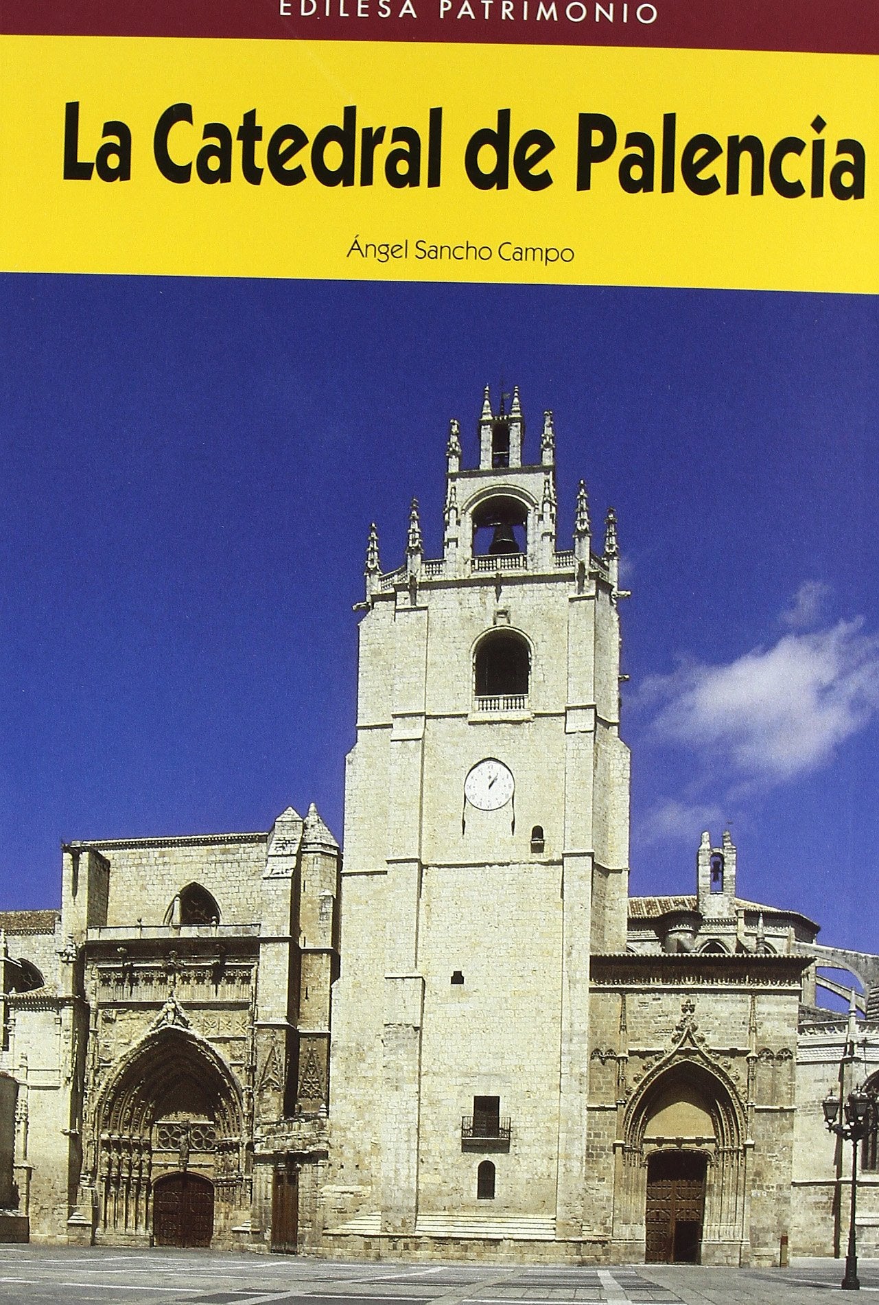 La Catedral de Palencia: Un lecho de catedrales Books