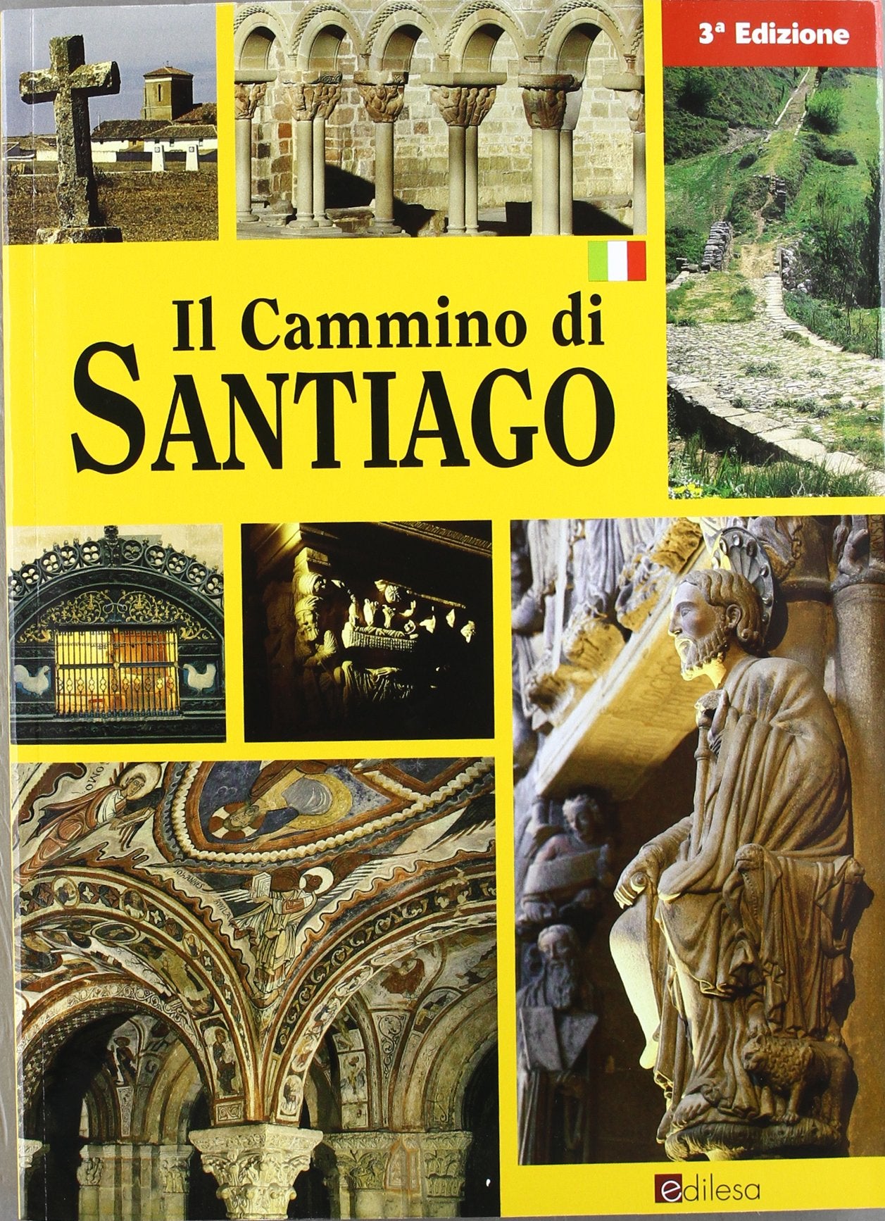 El camino de Santiago (italiano) book