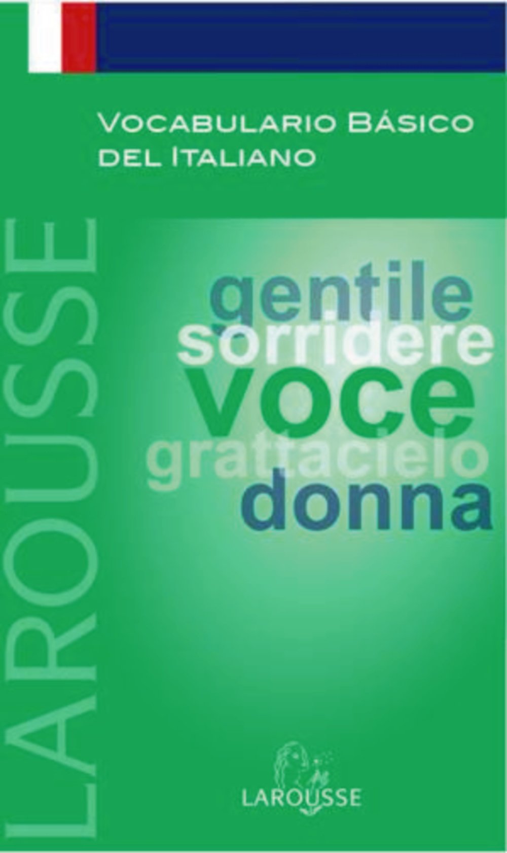 Vocabulario basico del Italiano/ Basic Italian Vocabulary book