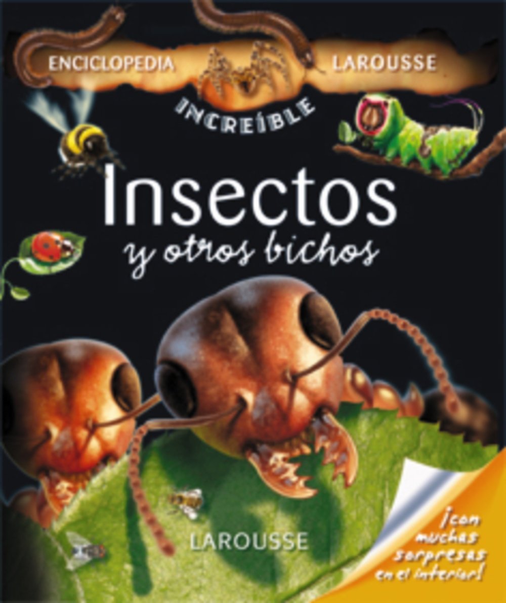 Insectos y otros bichos / Insects and other Bugs book