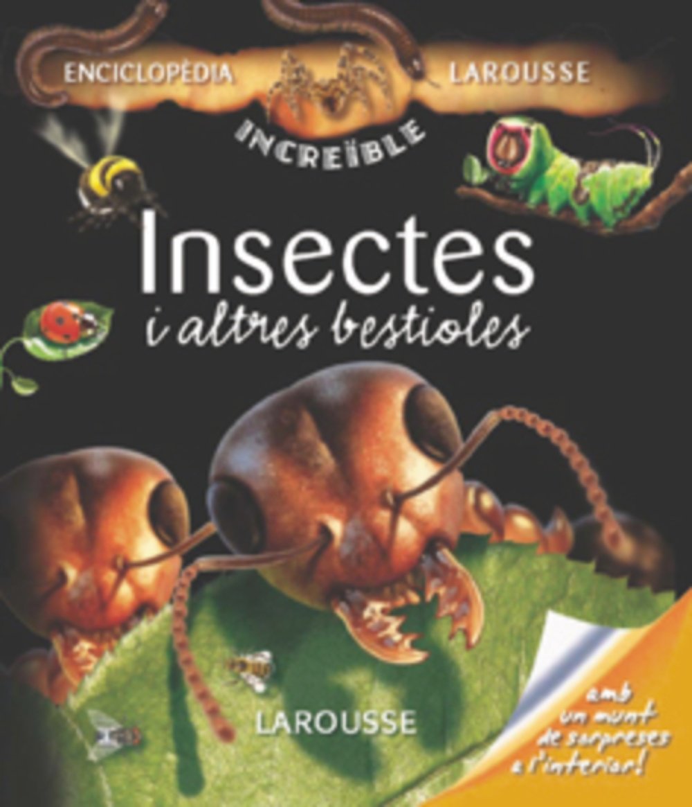 Insectes i altres bestioles Social Sciences