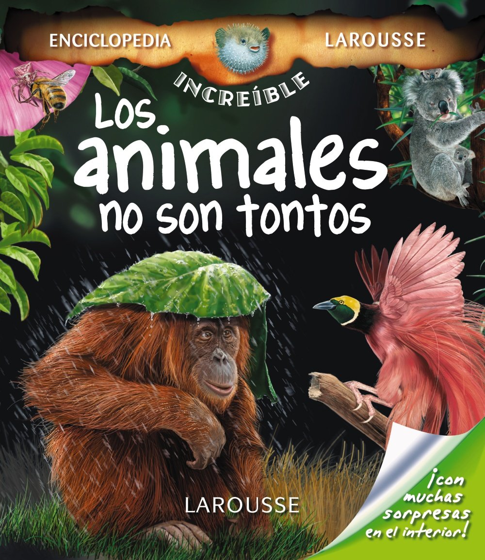 Los animales no son tontos book