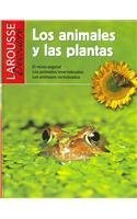 Los animales y las plantas / The animals and the plants Non-fiction