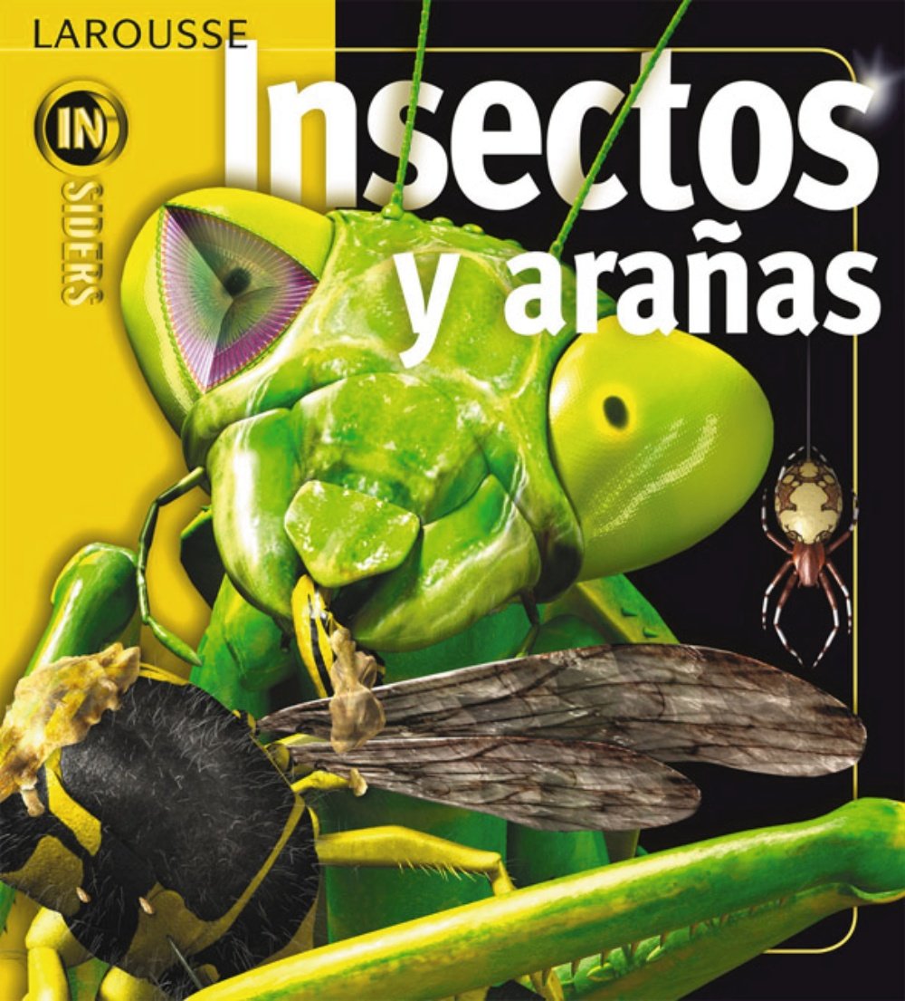 Insectos y aranas/ Insects and Spiders book