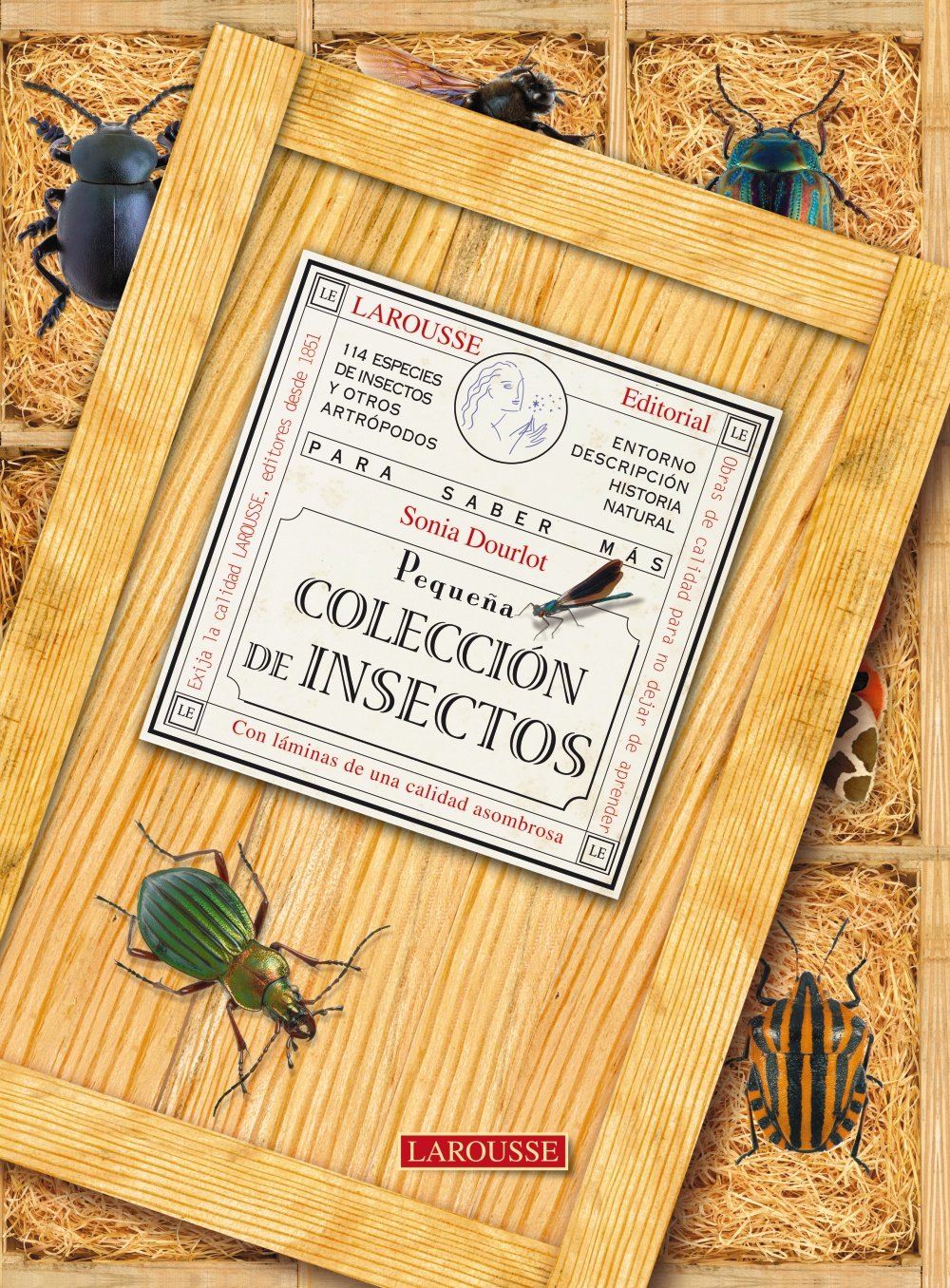 Pequena coleccion de insectos / Small Collection of Insects book