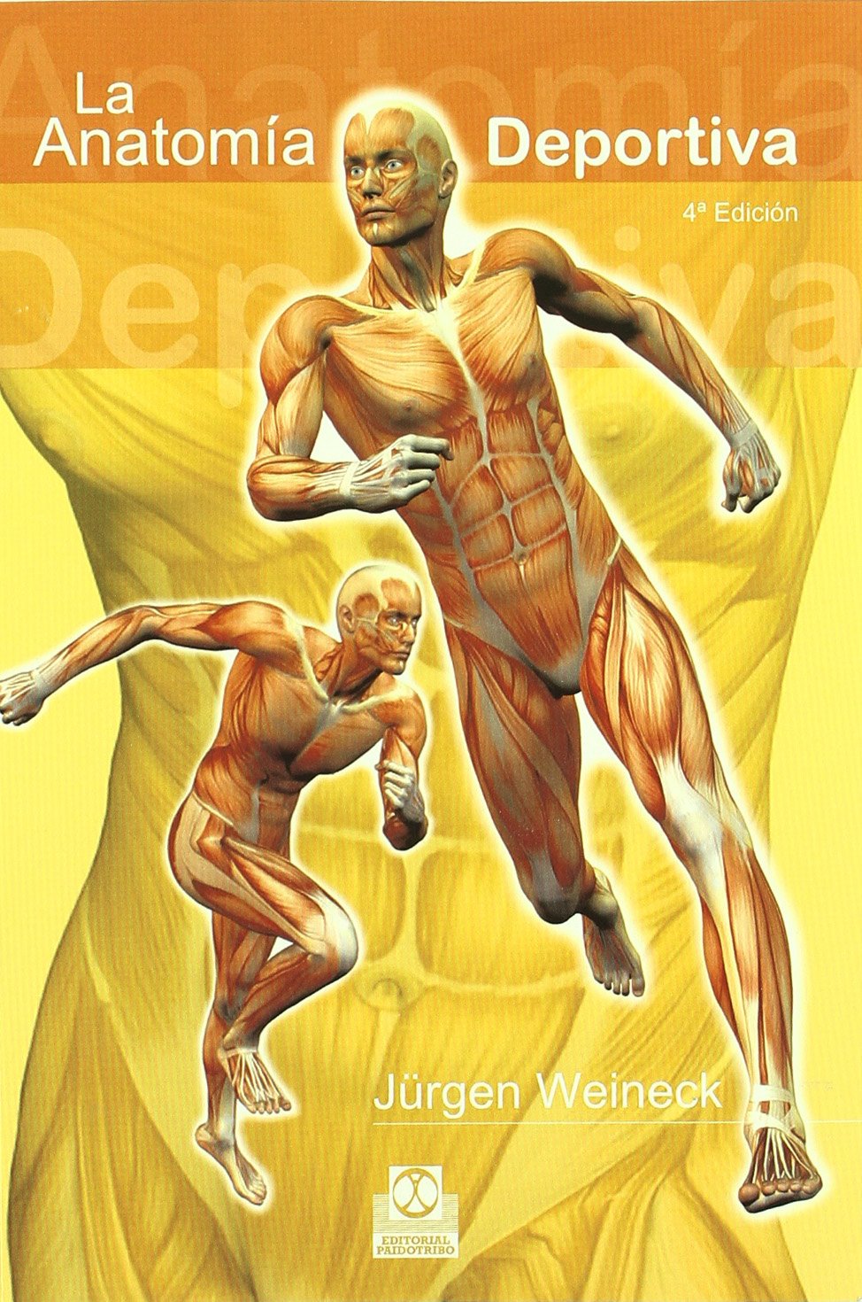 La Anatomia Deportiva/ Sport Anatomy book