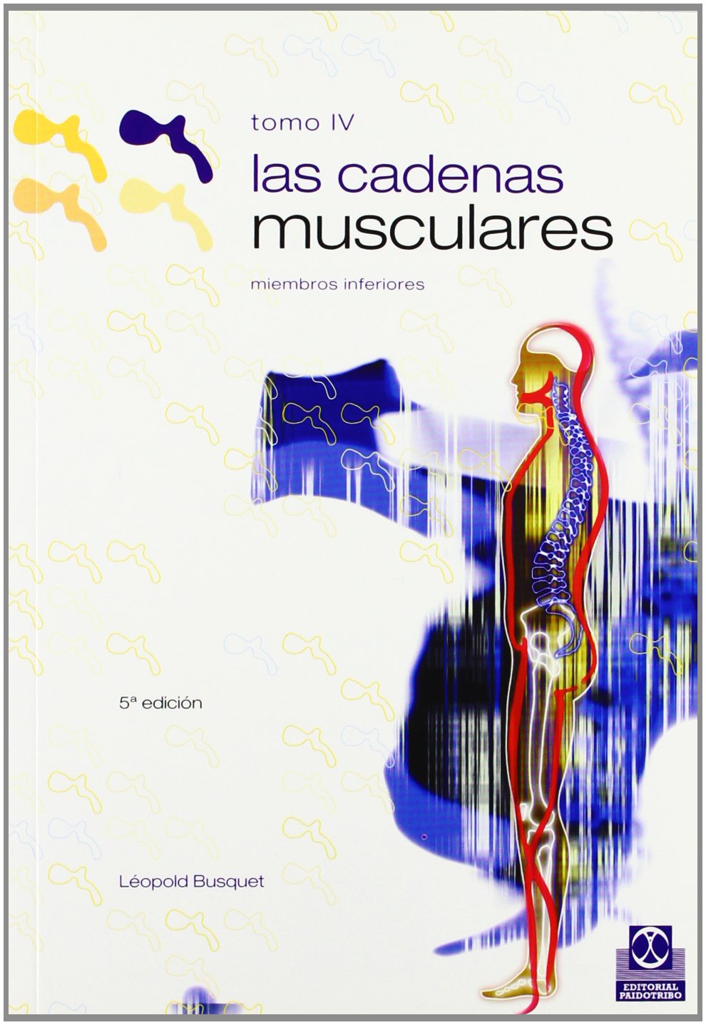 Las Cadenas Musculares / Muscular Chains Lower Members: Miembros Inferiores book