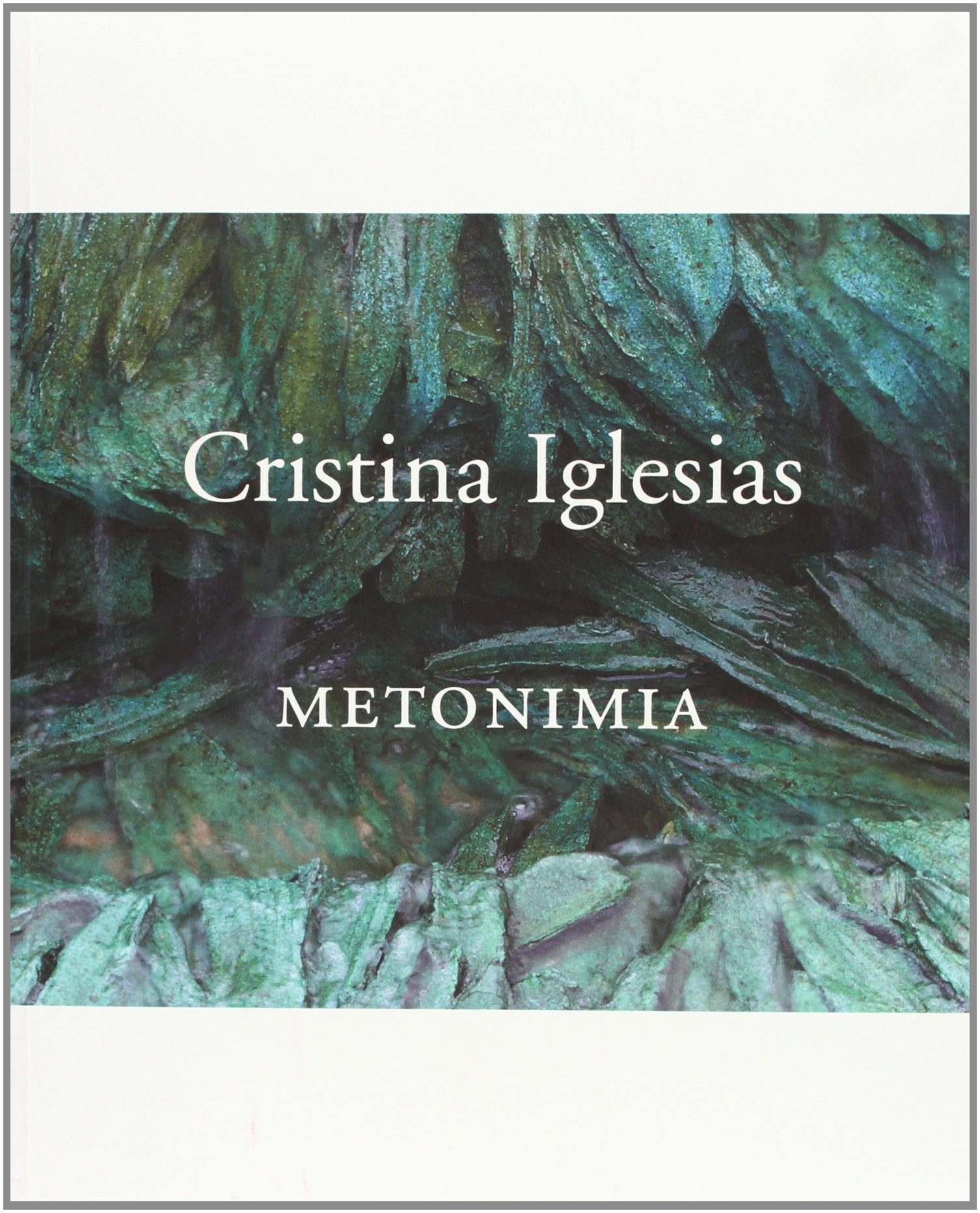 Cristina Iglesias. Metonimia book
