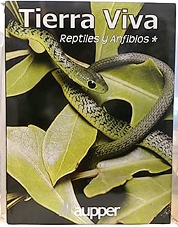 Tierra Viva. Anfibios Y Reptiles 1 book