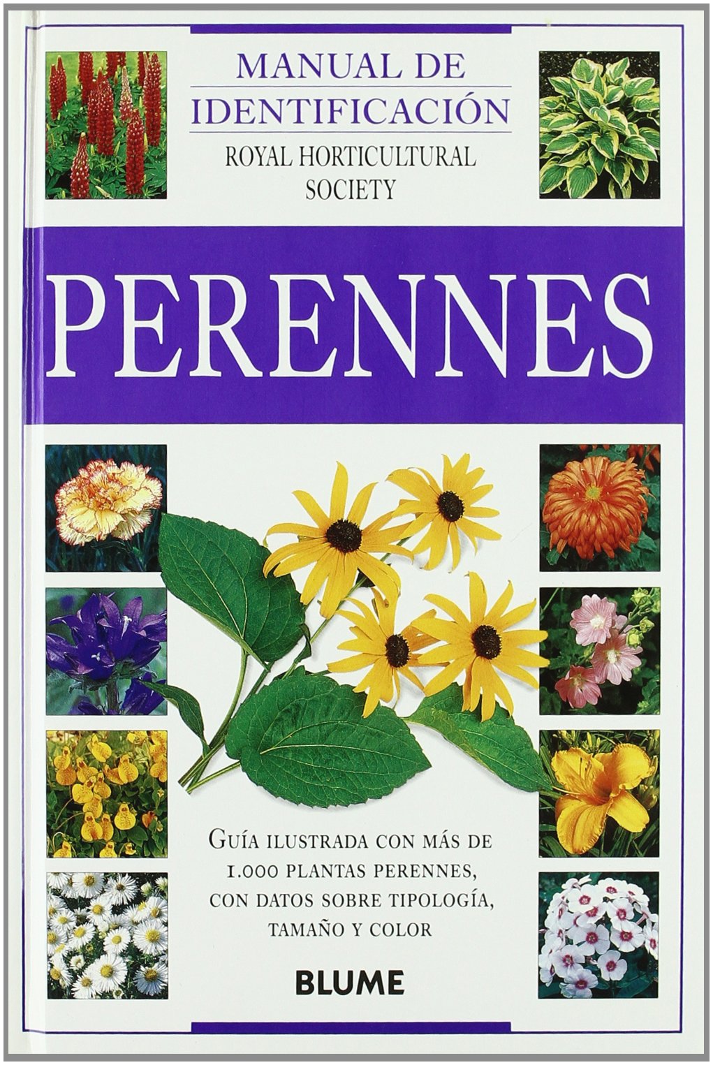 Perennes : manual de identificación (Manual Identificación) Hobbies & Crafts