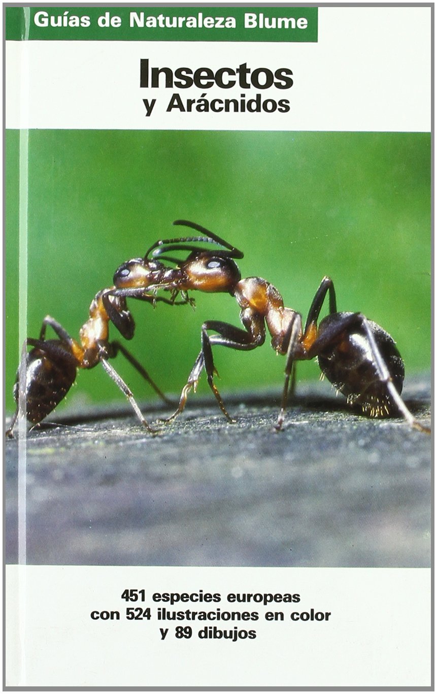 Insectos y aracnidos (Guias Naturaleza Blume) Books