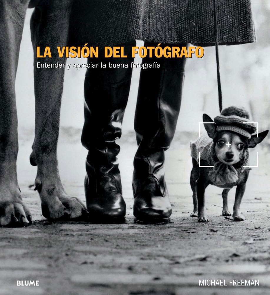 La visión del fotógrafo / The vision of the photographer: Entender y apreciar la buena fotografia / Understand and appreciate good photography book