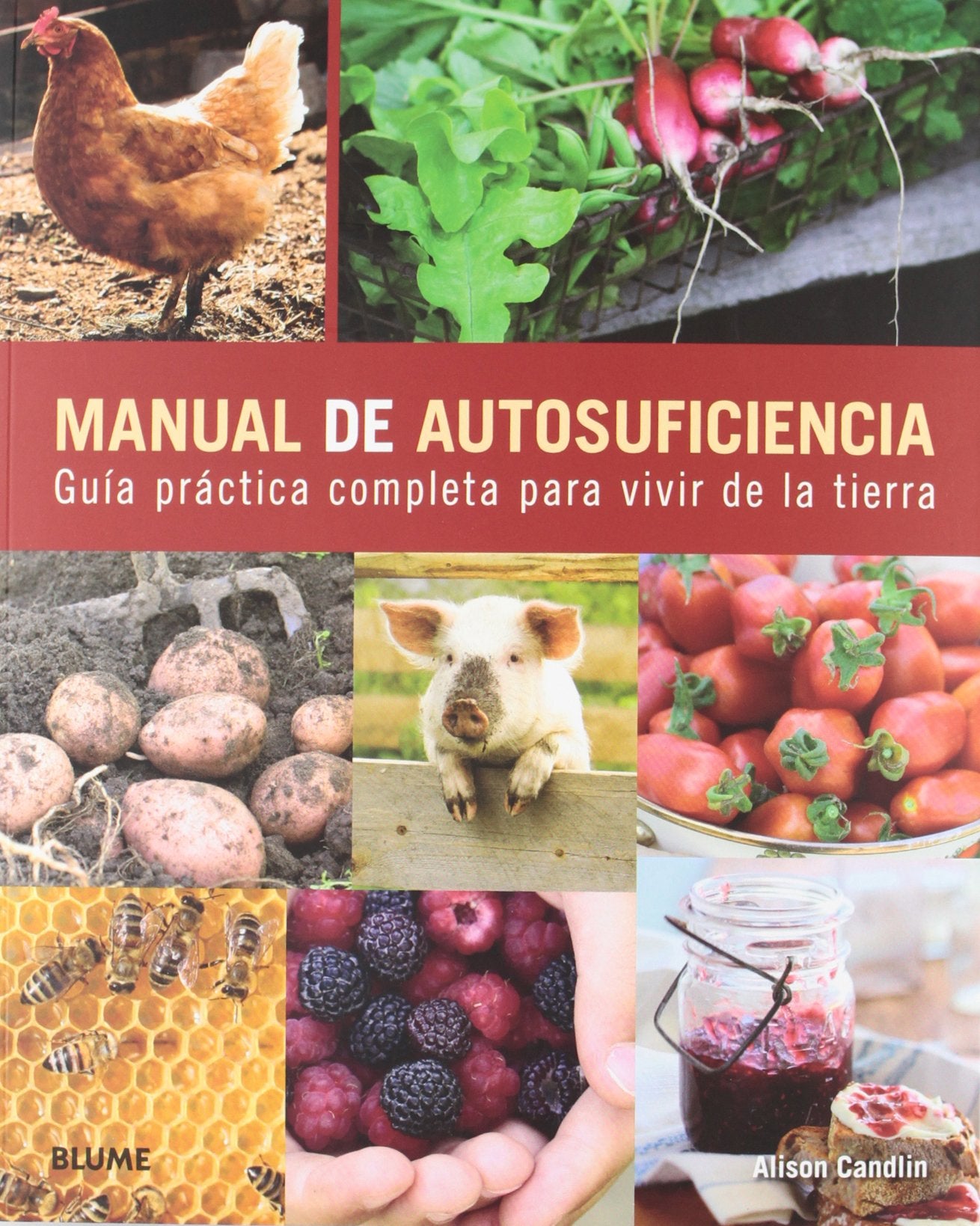 Manual de autosuficiencia: Guía práctica completa para vivir de la tierra Leisure, Home & Garden