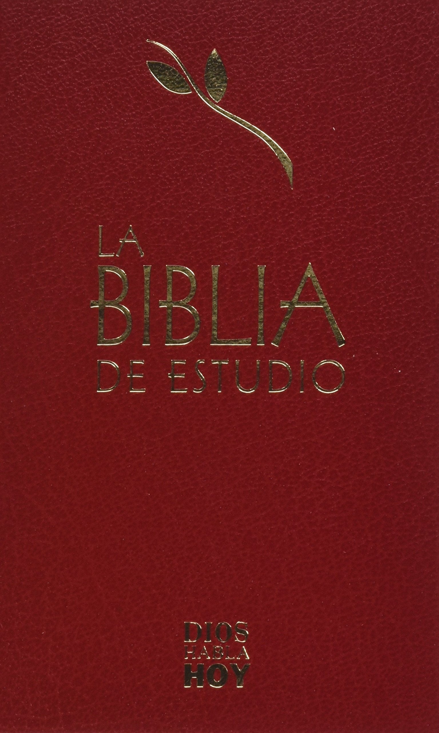 Biblia de estudio : Dios habla hoy Learning & Reference