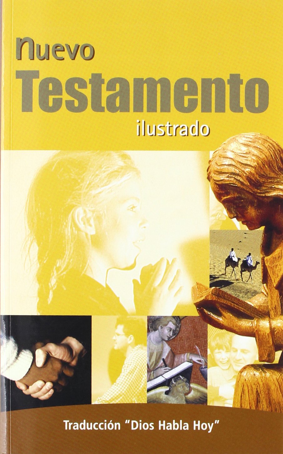 NUEVO TESTAMENTO ILUSTRADO. (TRADUCCION DIOS HABLA HOY) Books