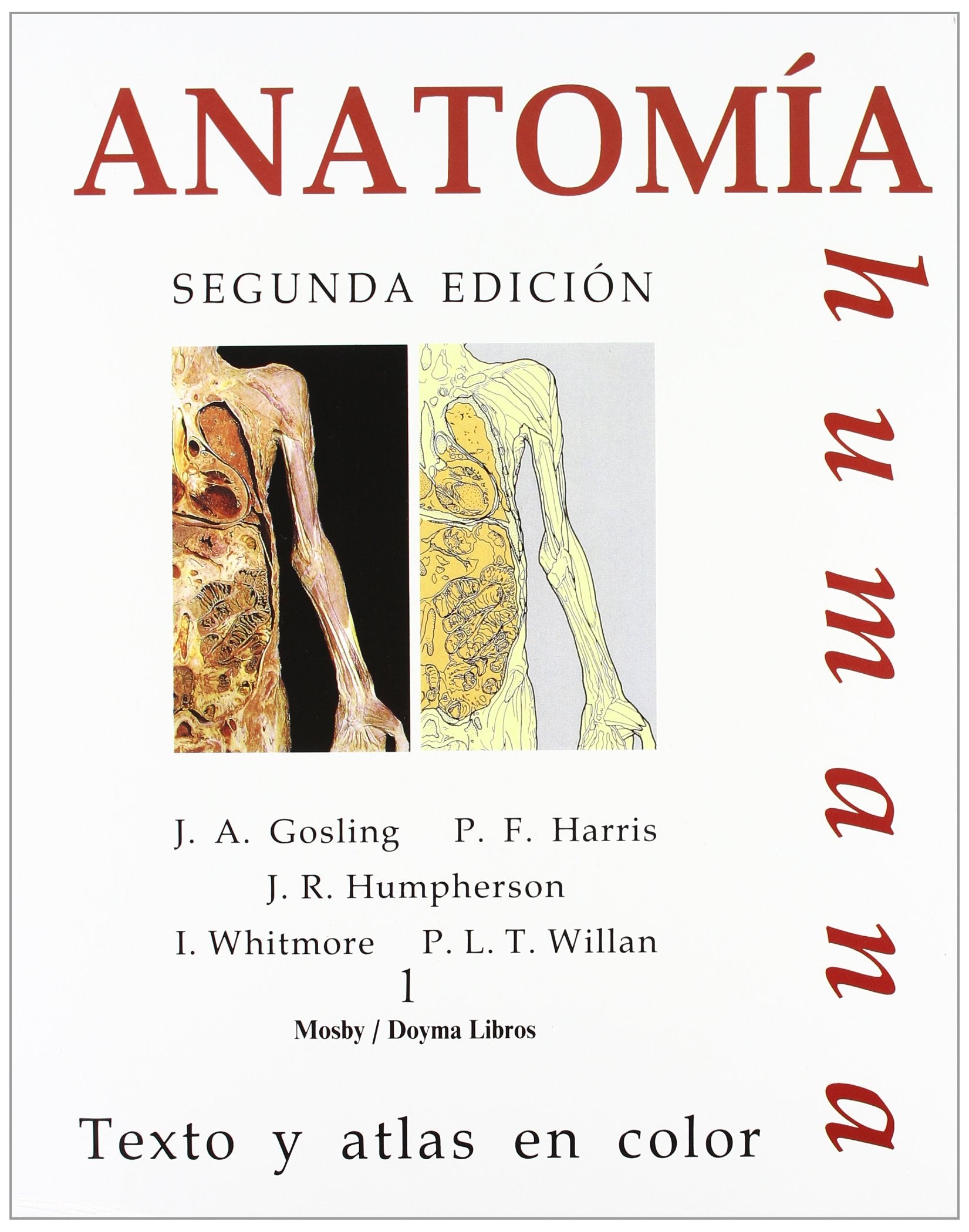 Anatomia Humana: Texto Y Atlas En Color book