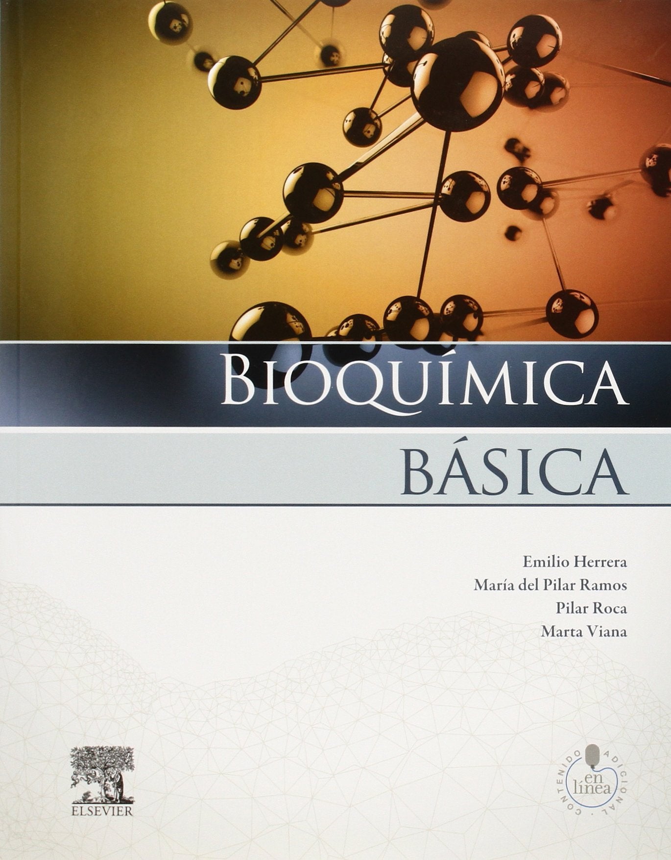 Bioquímica básica : base molecular de los procesos fisiológicos Medicine