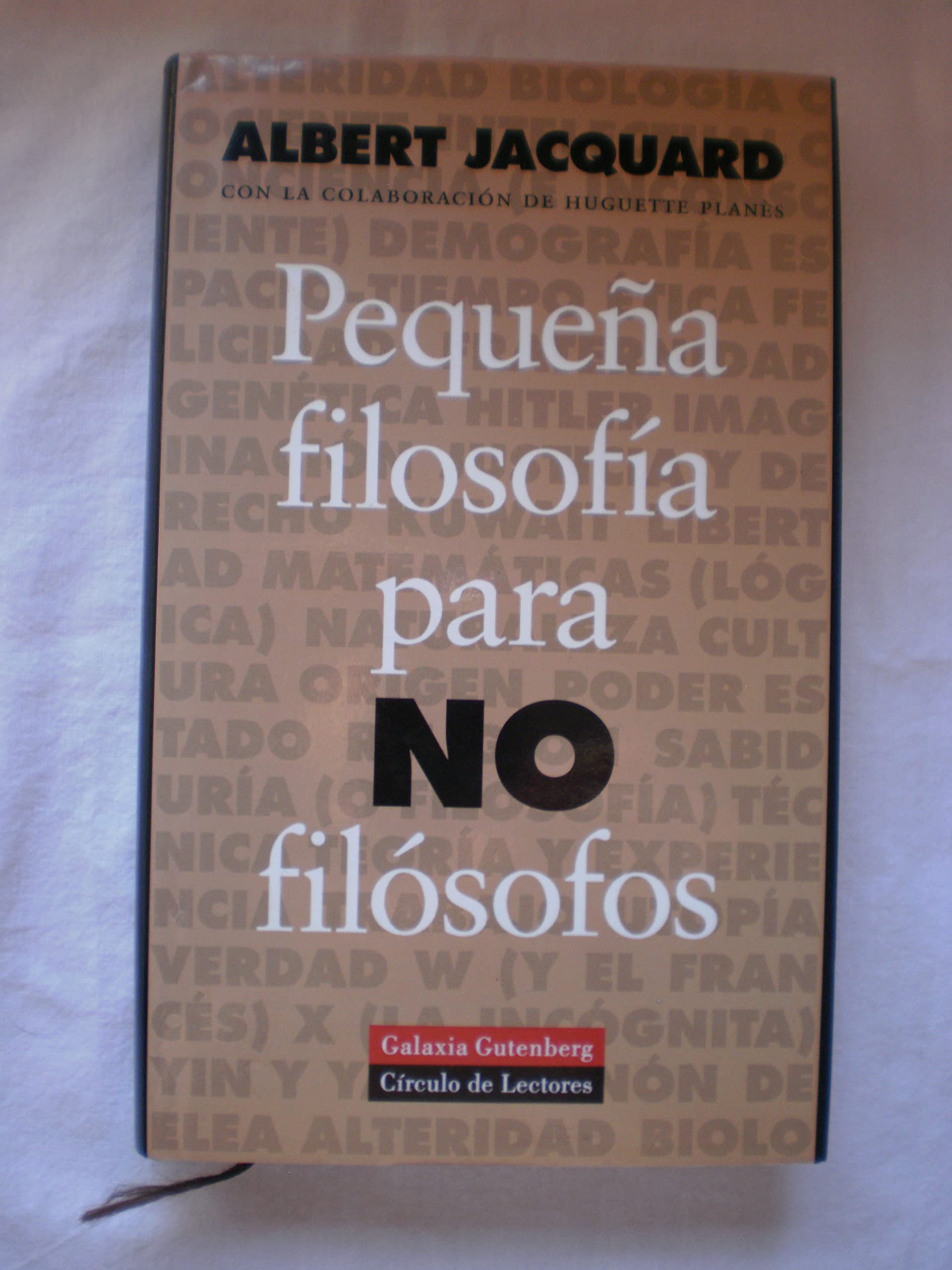 PEQUEÑA FILOSOFIA PARA NO FILOSOS book