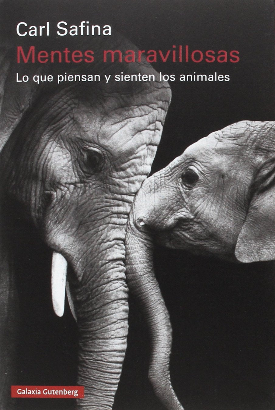 Mentes maravillosas : lo que piensan y sienten los animales (Rústica) Natural Sciences
