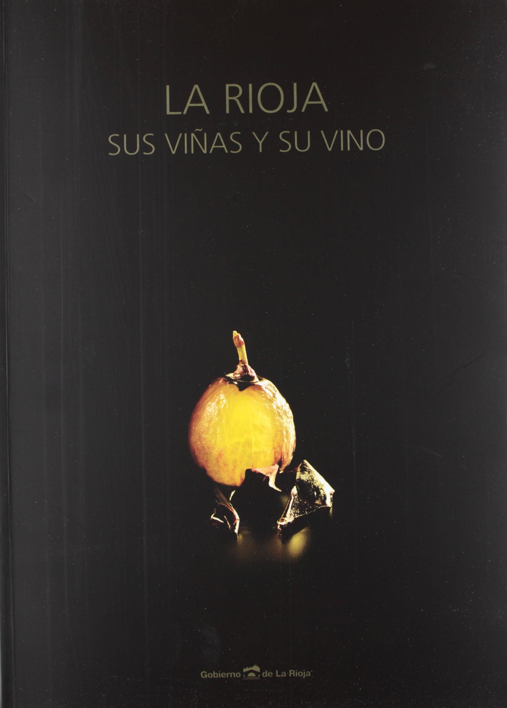 La Rioja sus viñas y su vino book