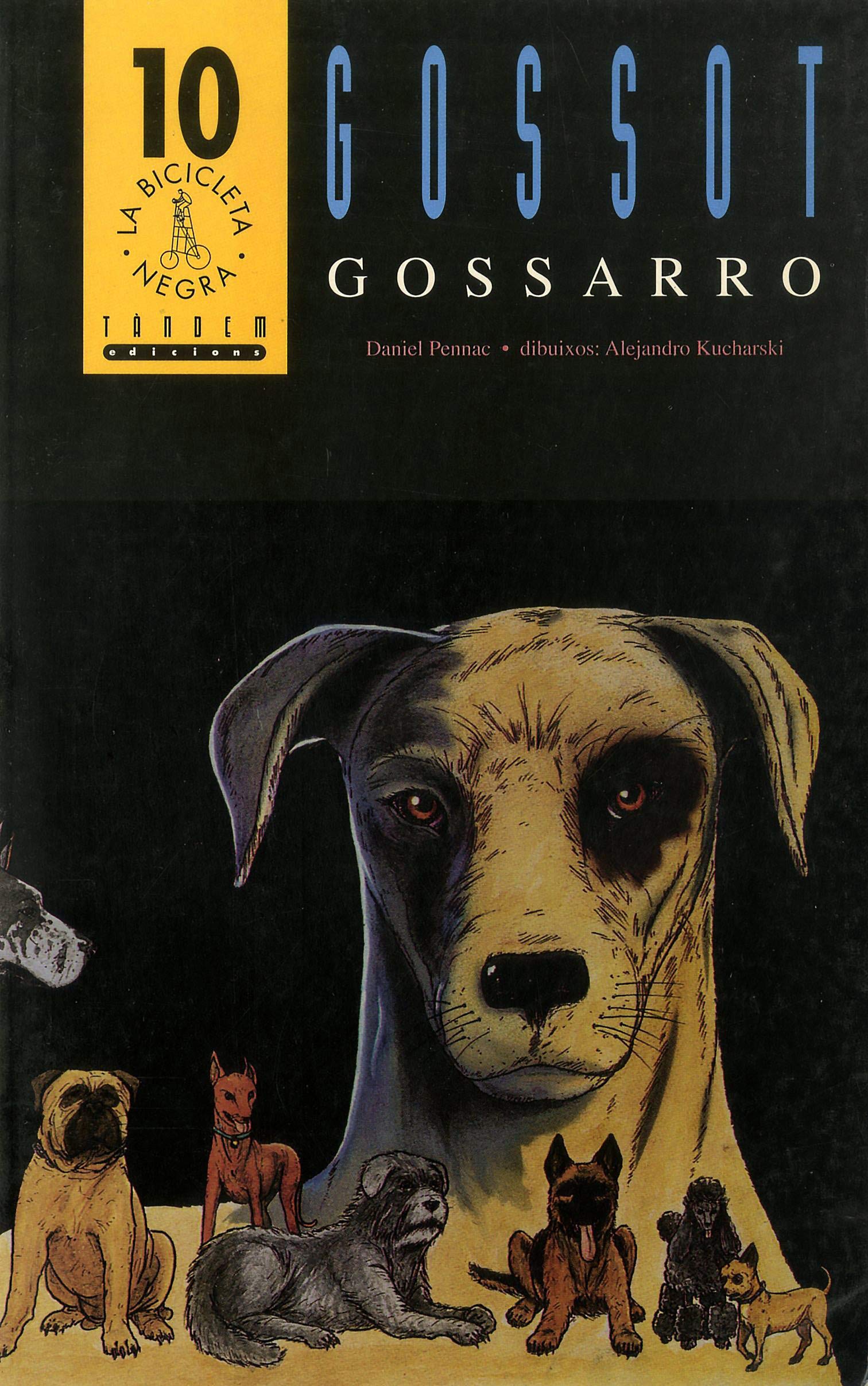 Gossot, gossarro (La bicicleta negra, Band 10) Fiction