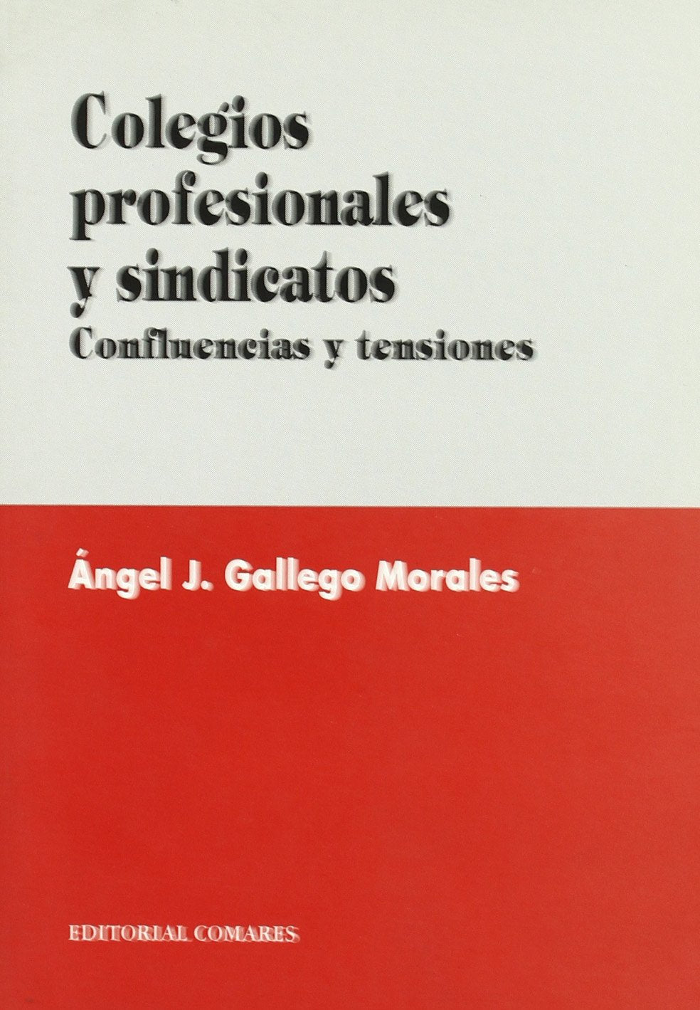 Colegios profesionales y sindicatos : confluencias y tensiones Law