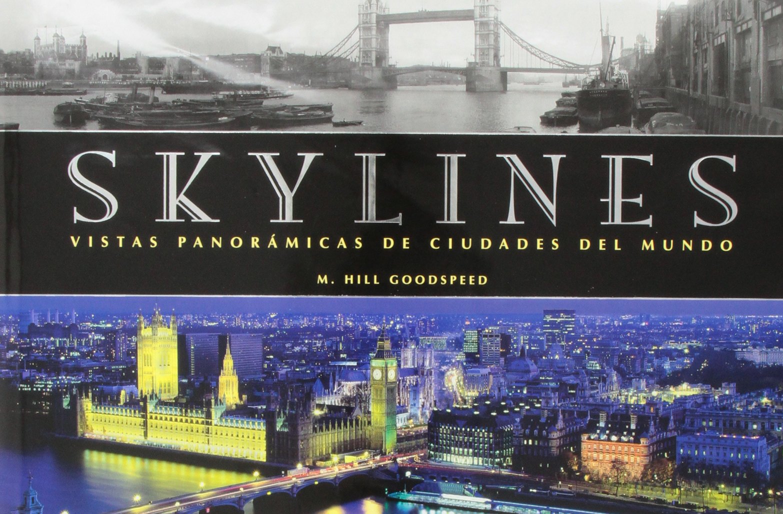 Skylines: Vistas panorámicas de ciudades del mundo book