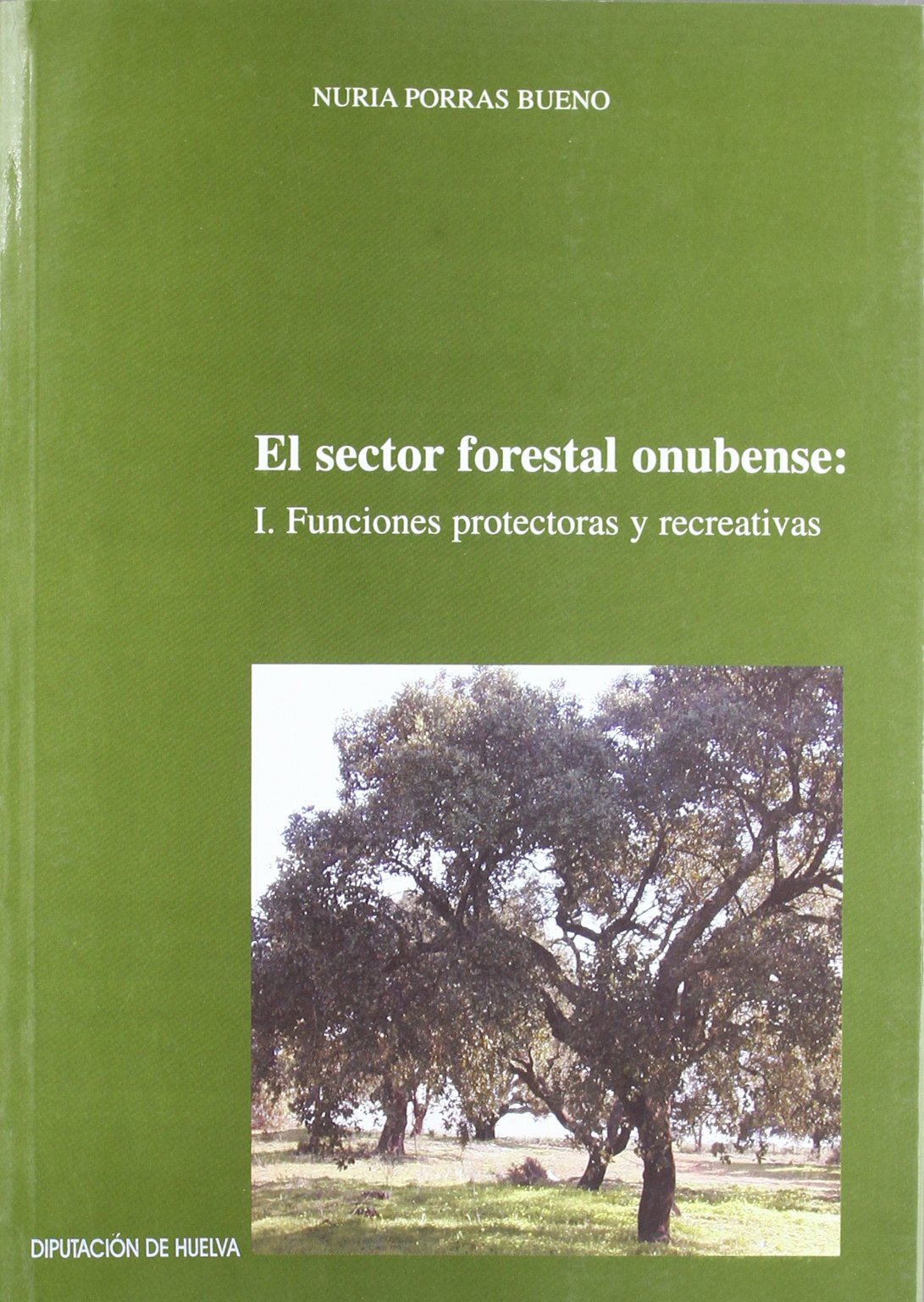 SECTOR FORESTAL ONUBENSE: I. FUNCIONES PROTECTORAS Y RECREATIVAS (COLECCION INVE. TIGACION. SERIE ECONOMIA, 43) Books