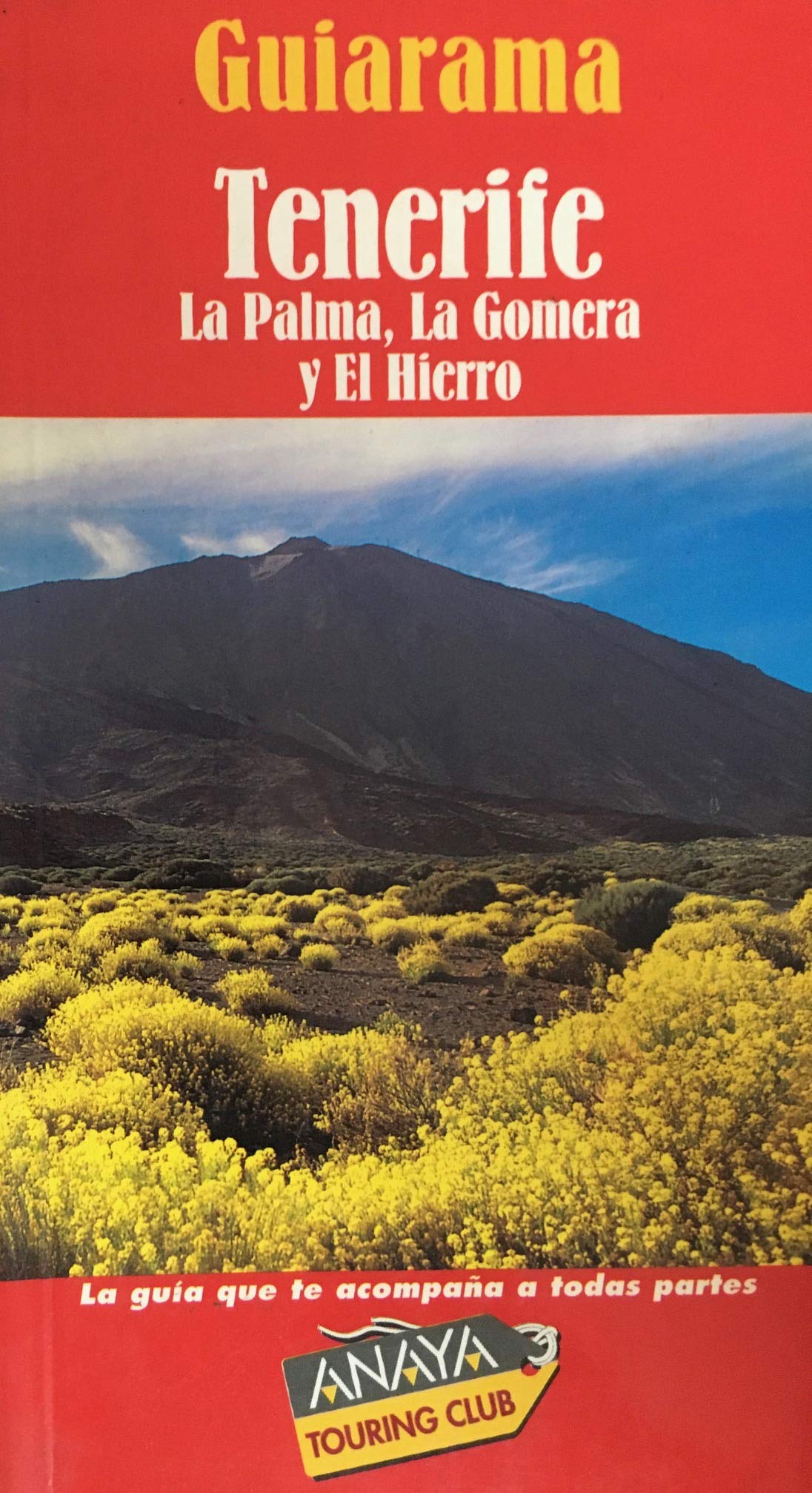 Guiarama tenerife Books