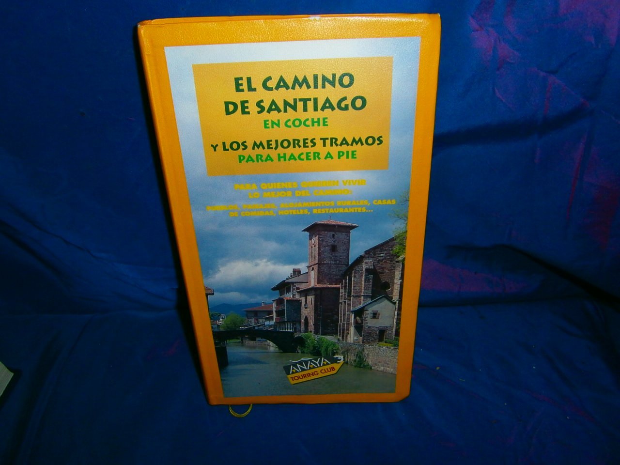 El camino de Santiago (+ guia) book