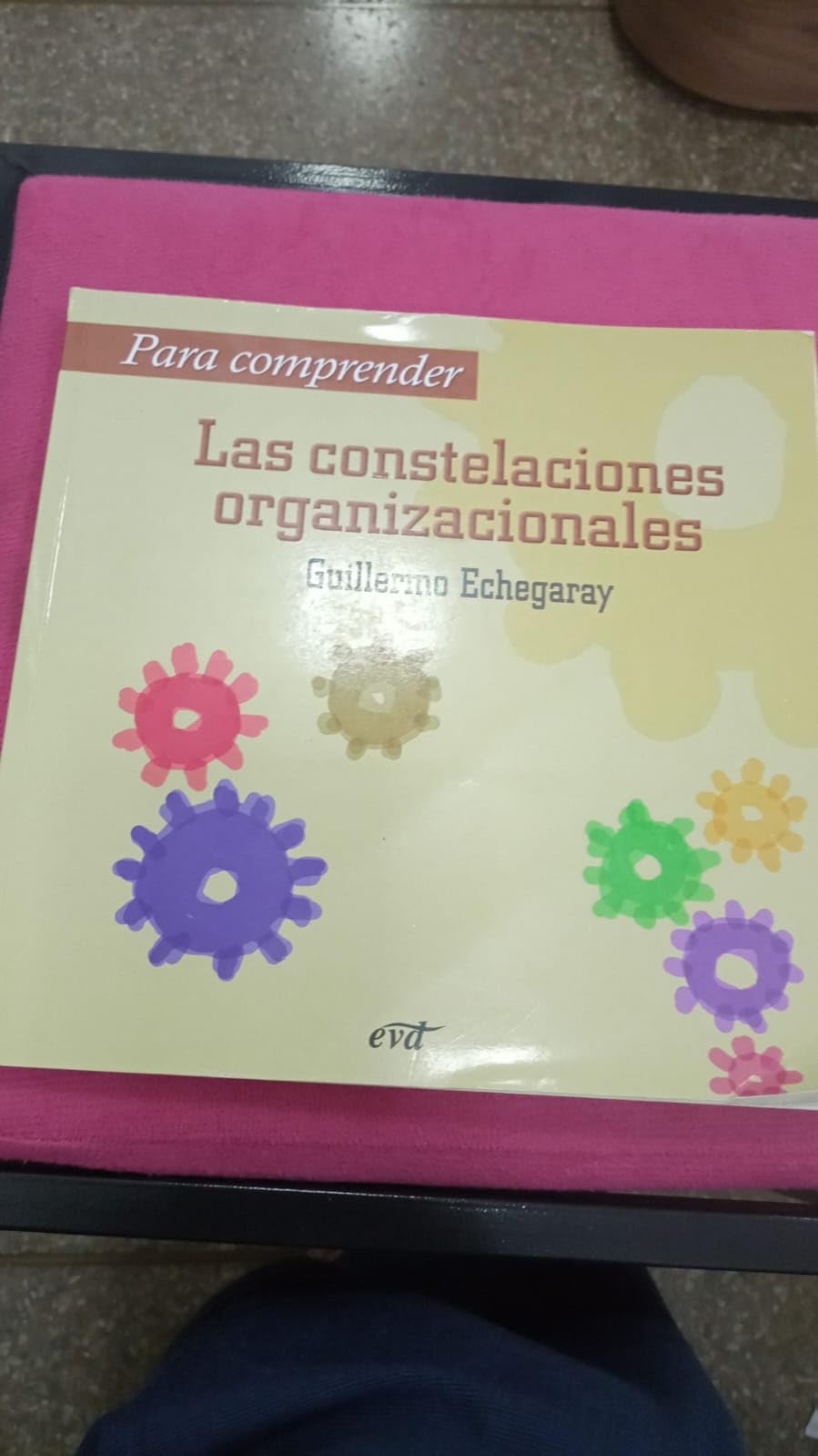 Echegaray Inda, G: Para comprender las constelaciones organi Books