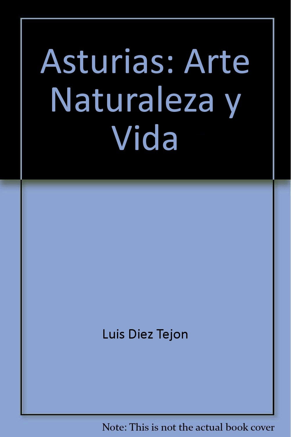 Asturias. arte, naturaleza y vida book