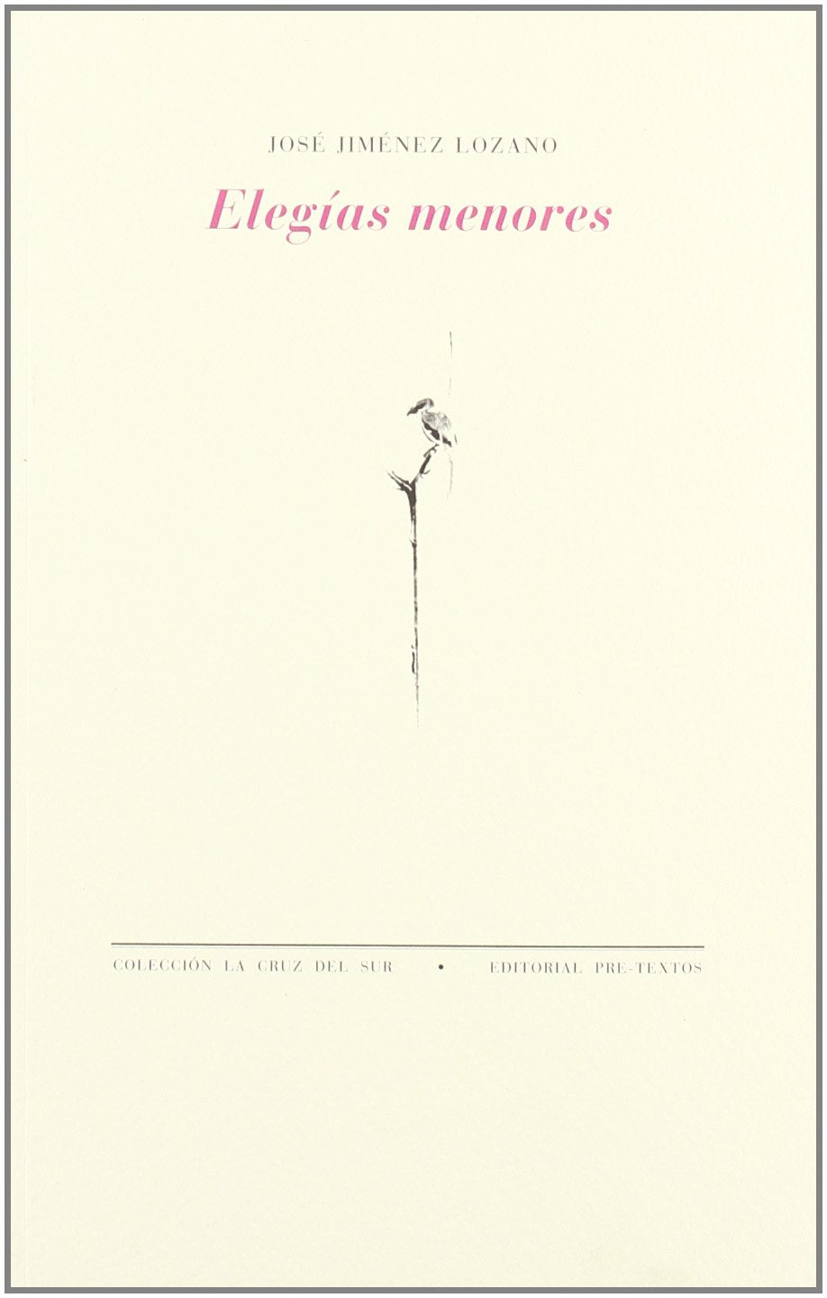Elegías menores (La cruz del sur) Poetry