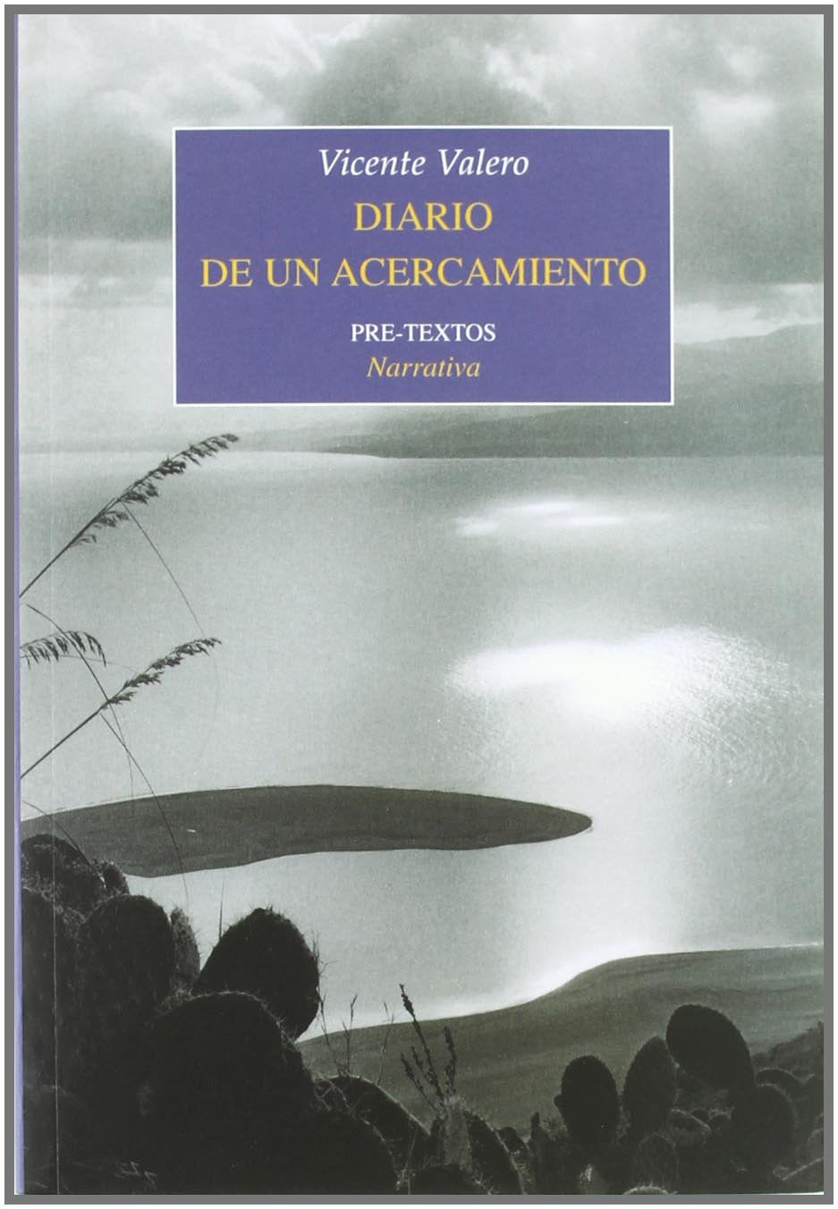 Valero, V: Diario de un acercamiento Contemporary literature