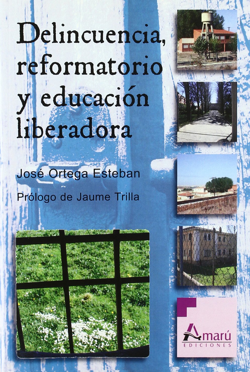 Delincuencia, reformatorio y educación liberadora book