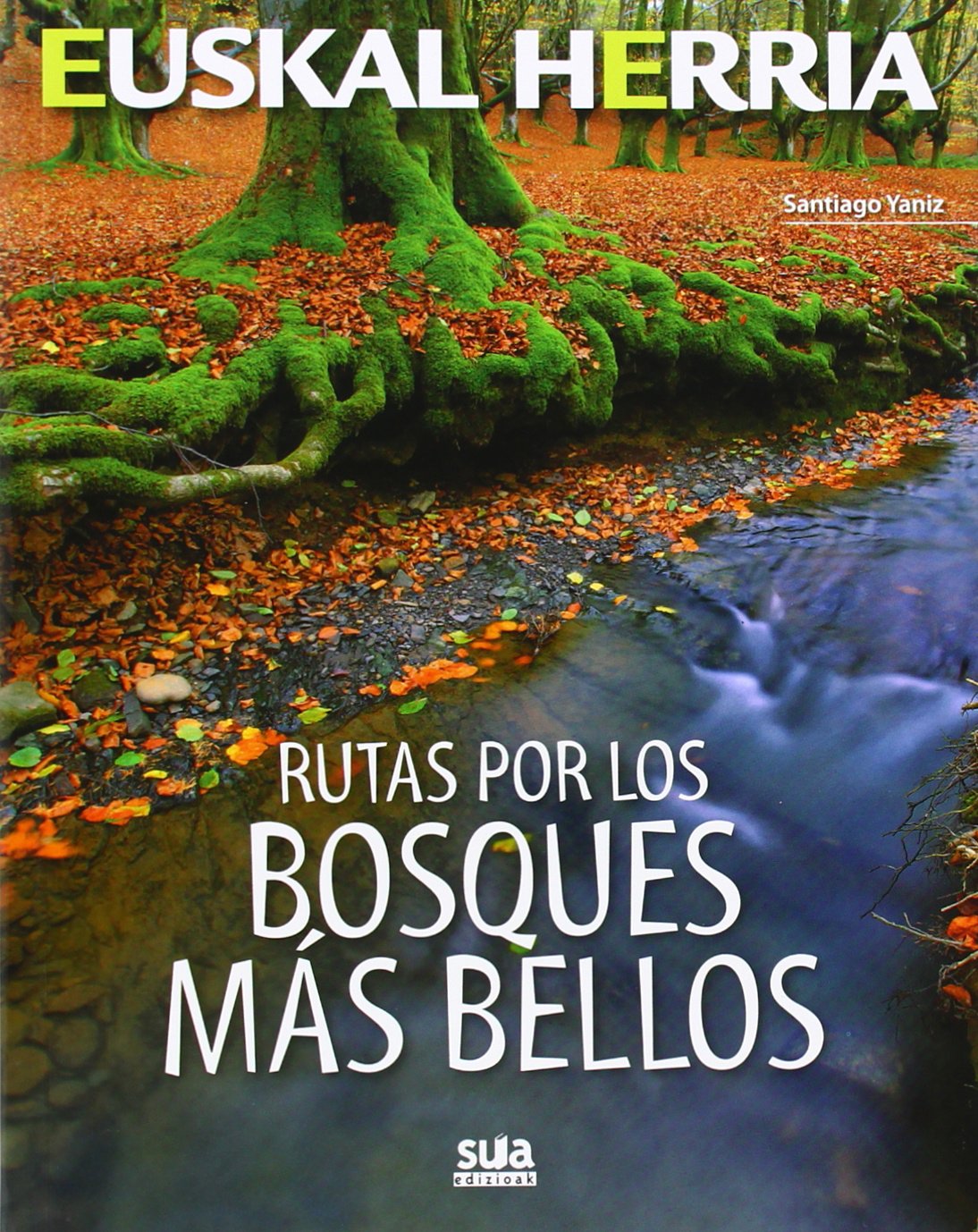 Rutas por los bosques mas bellos book