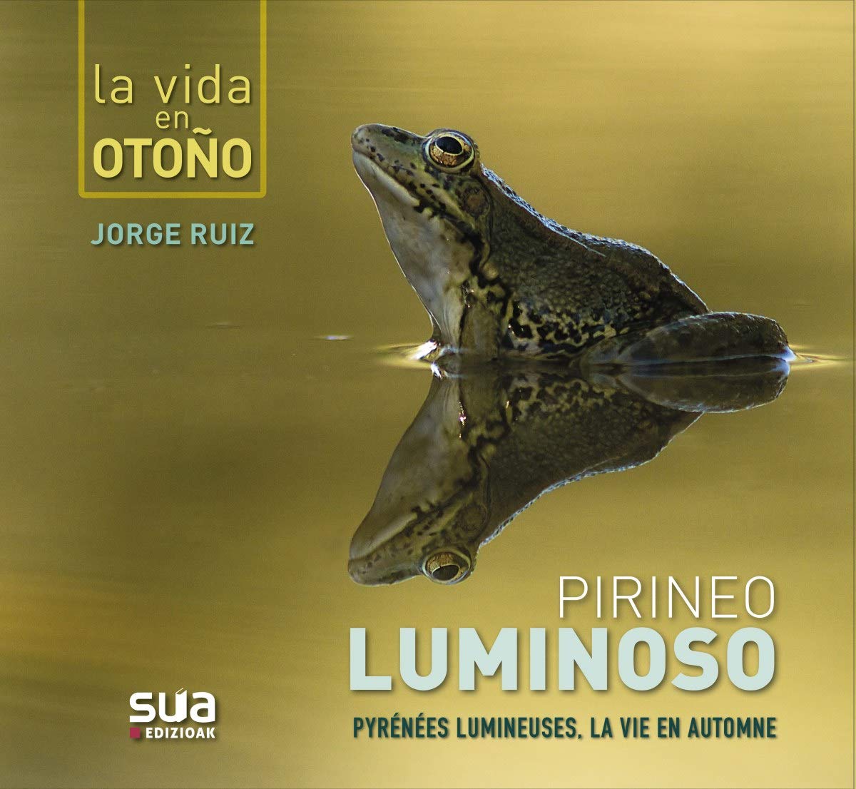 Pirineo luminoso: Pyrénées lumineuses (Ediciones especiales) Travel
