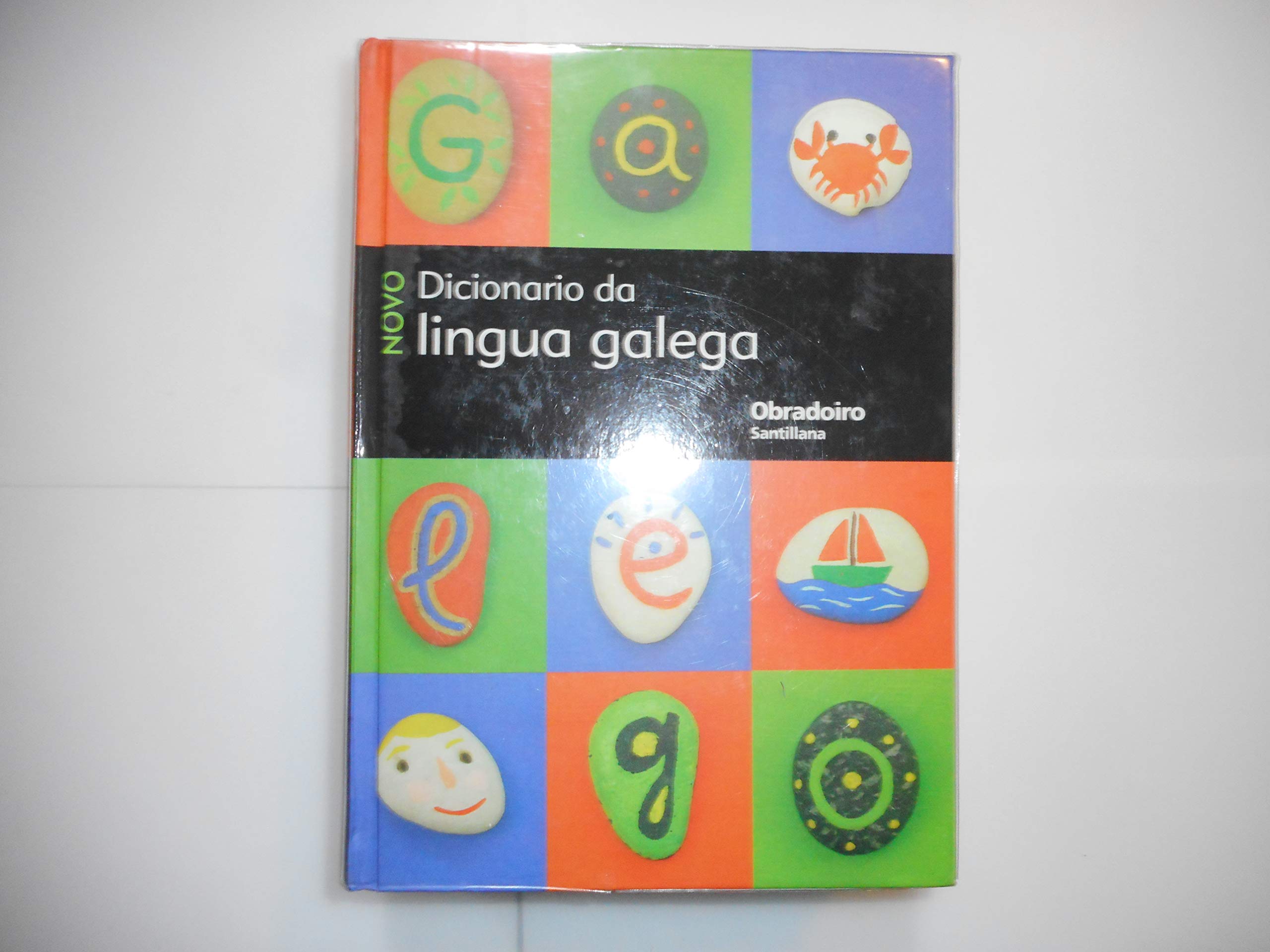 NOVO DICCIONARIO DA LINGUA GALEGA GALLEGO OBRADOIRO book